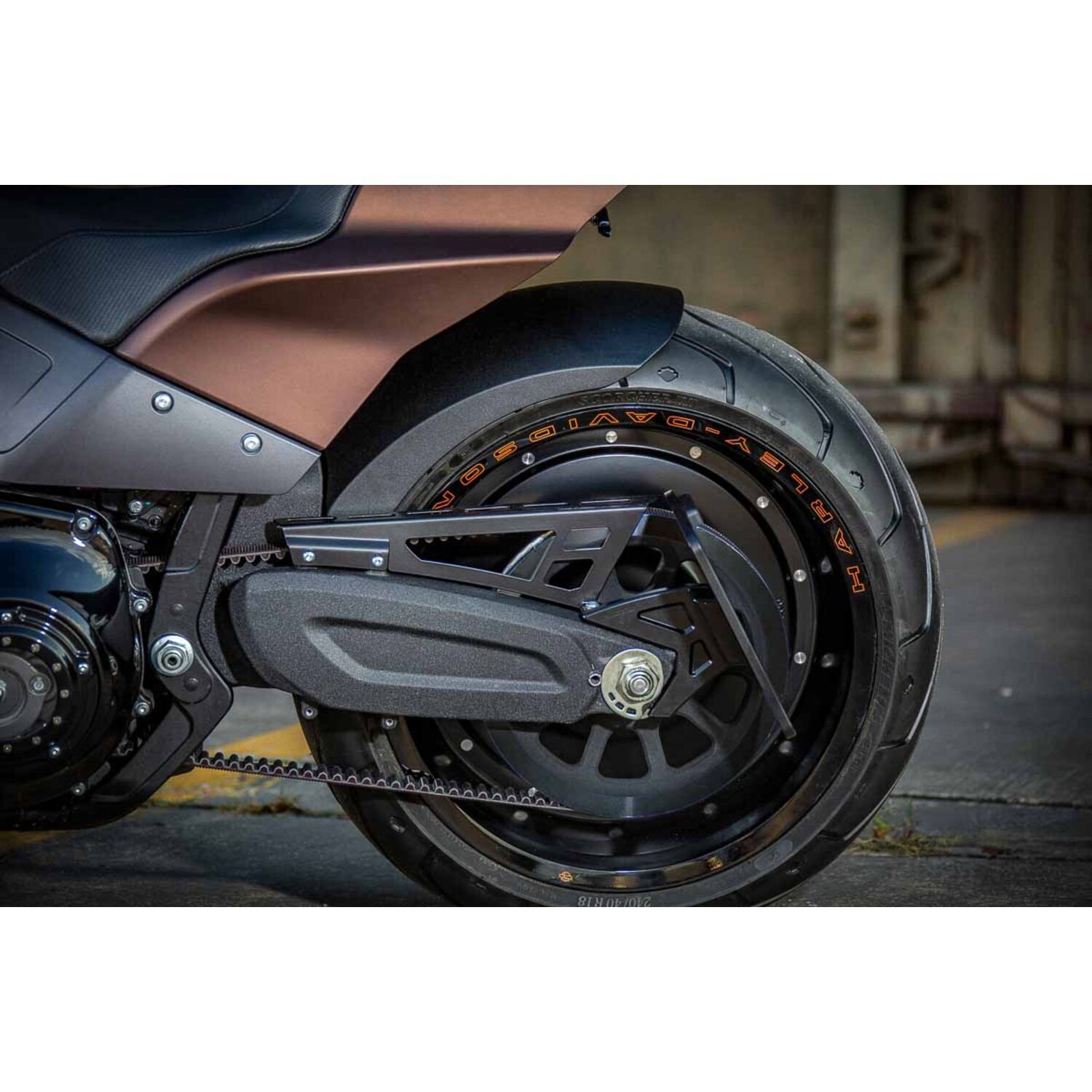 Rick's Motorcycles, belt cover kit FXDRS