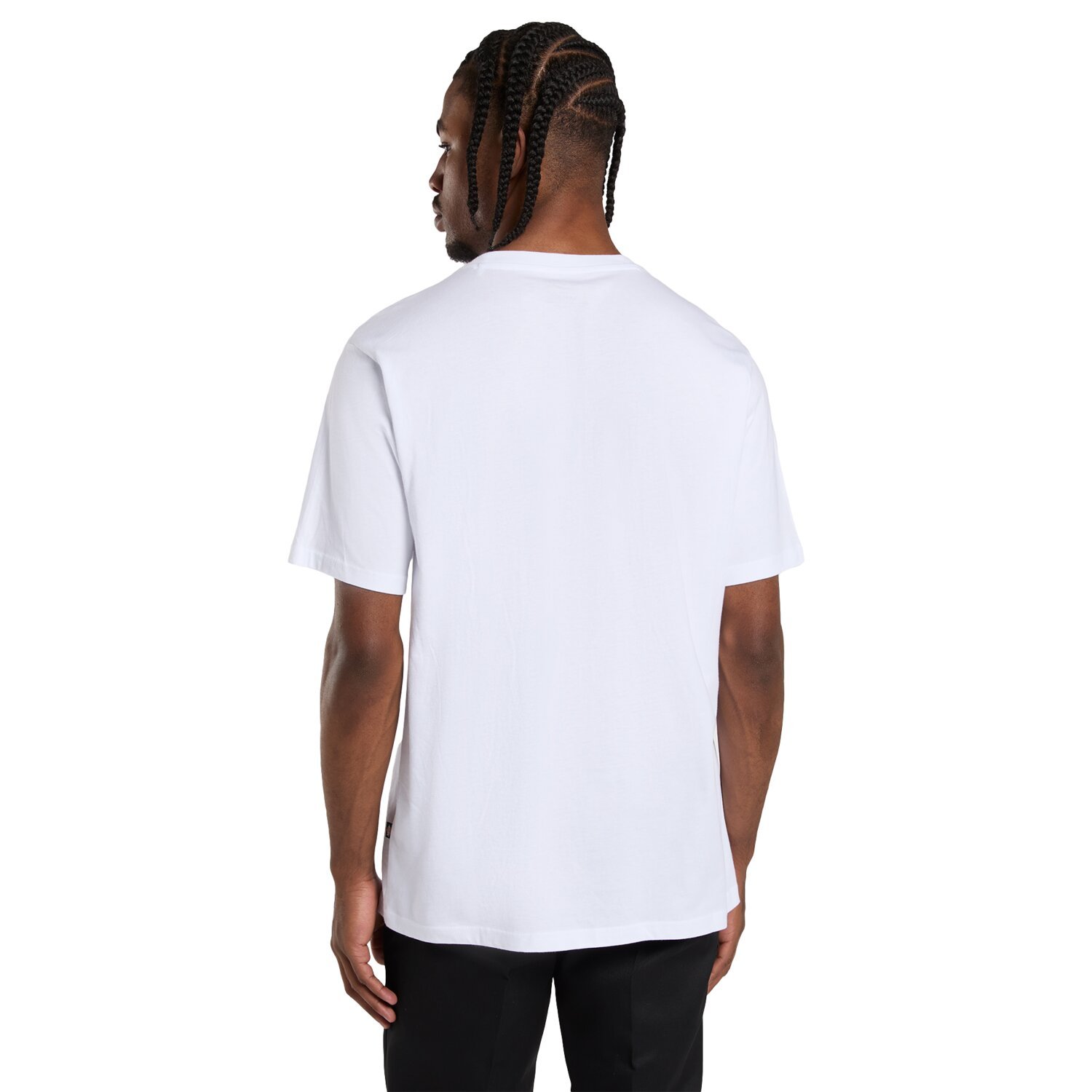 Dickies Mapleton t-shirt