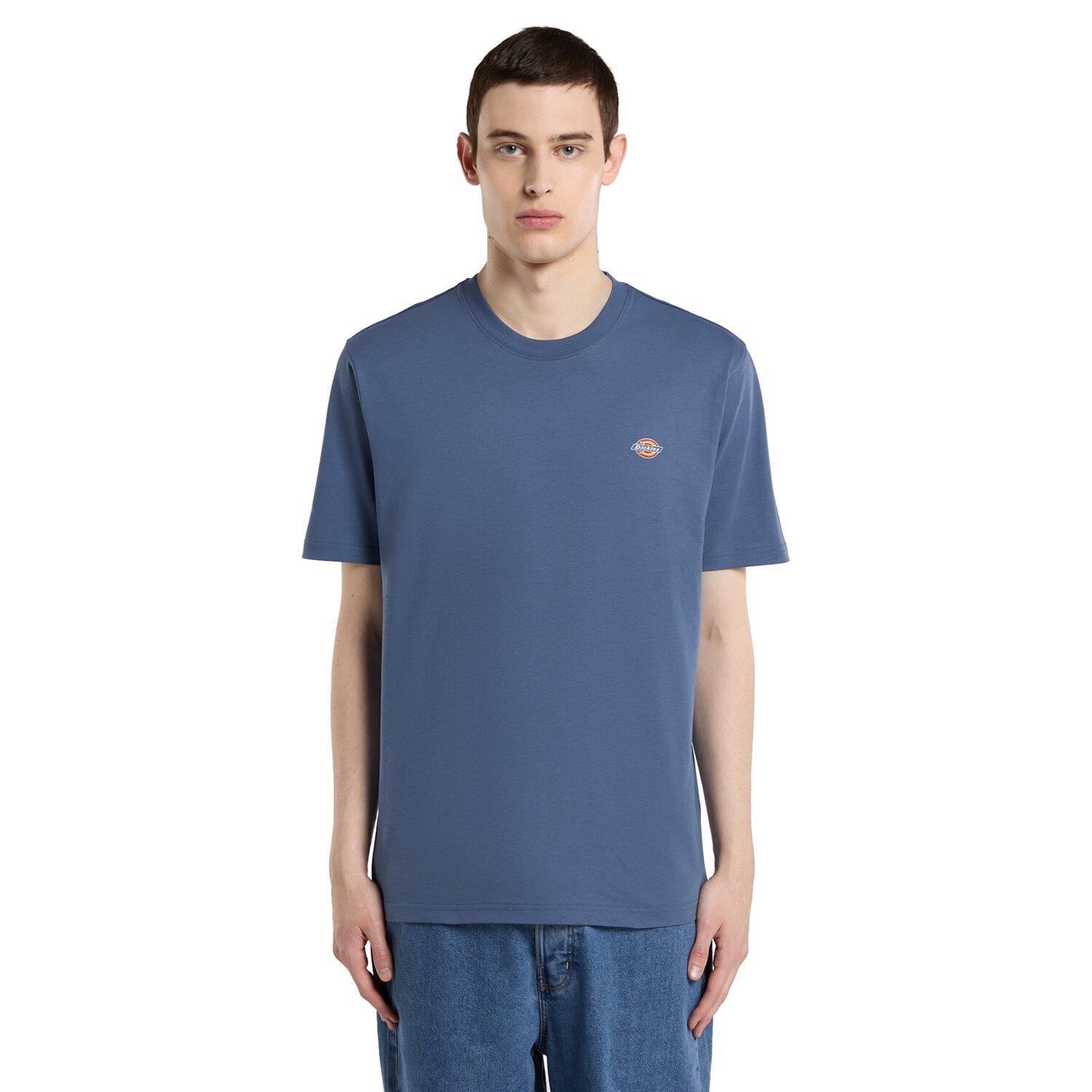 Dickies Mapleton t-shirt