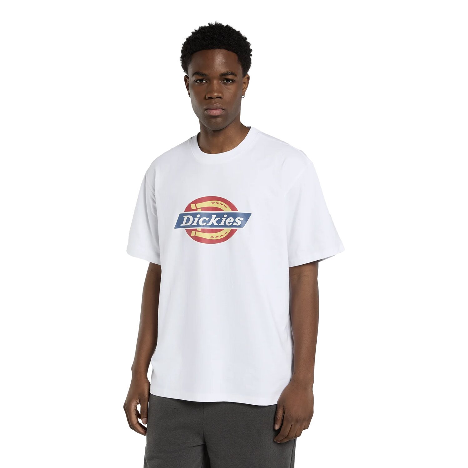 Dickies Icon Logo t-shirt