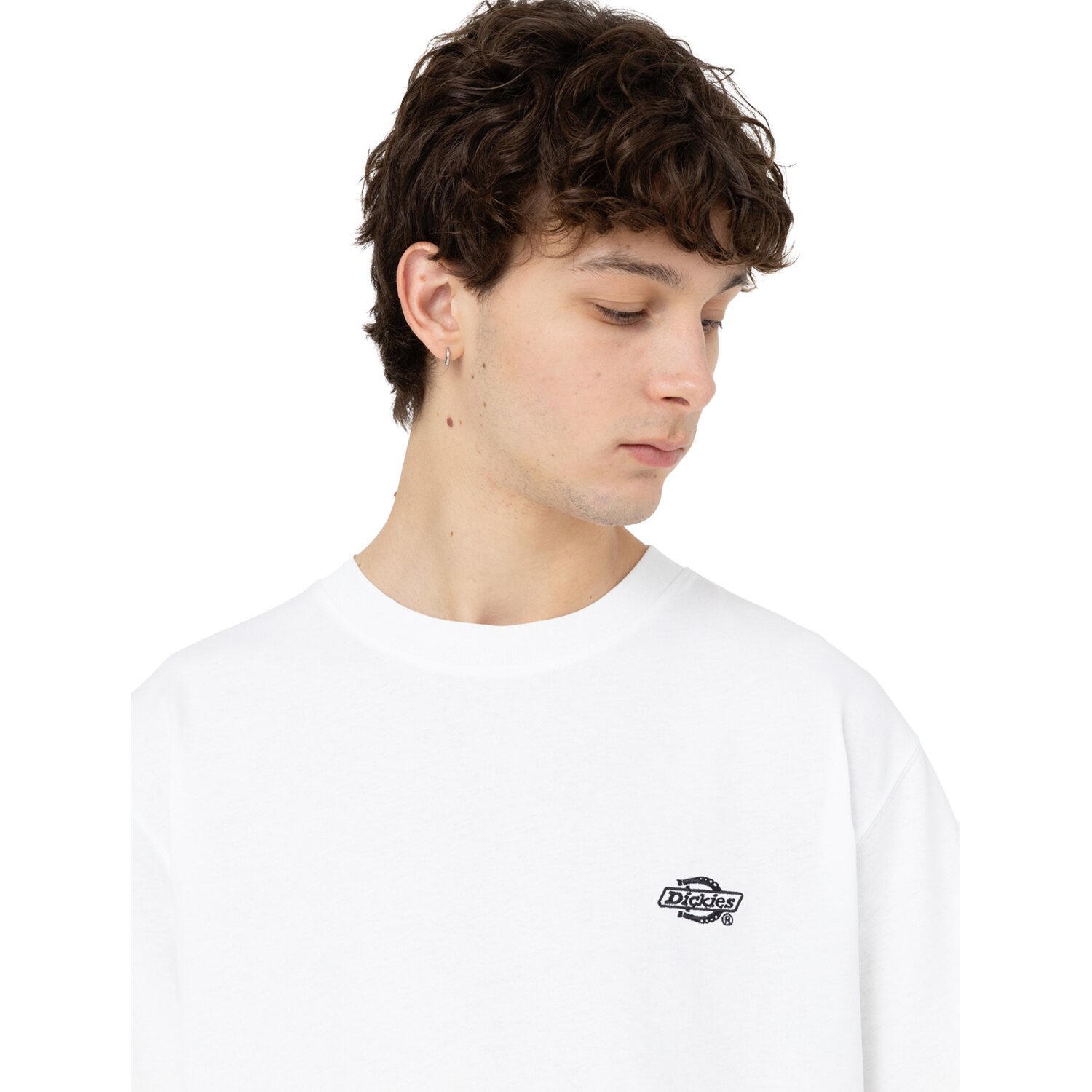 Dickies Summerdale t-shirt