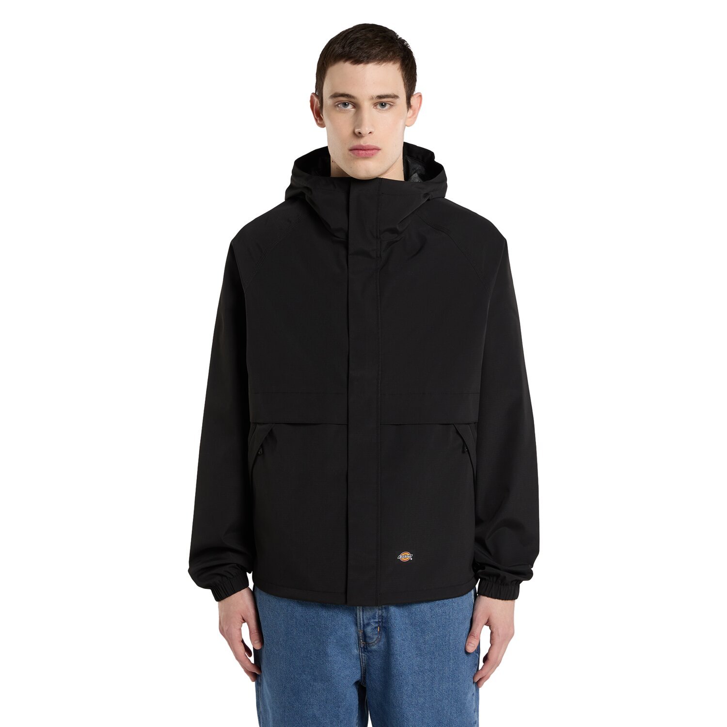 L — Dickies Baltimore jacket, Black, L