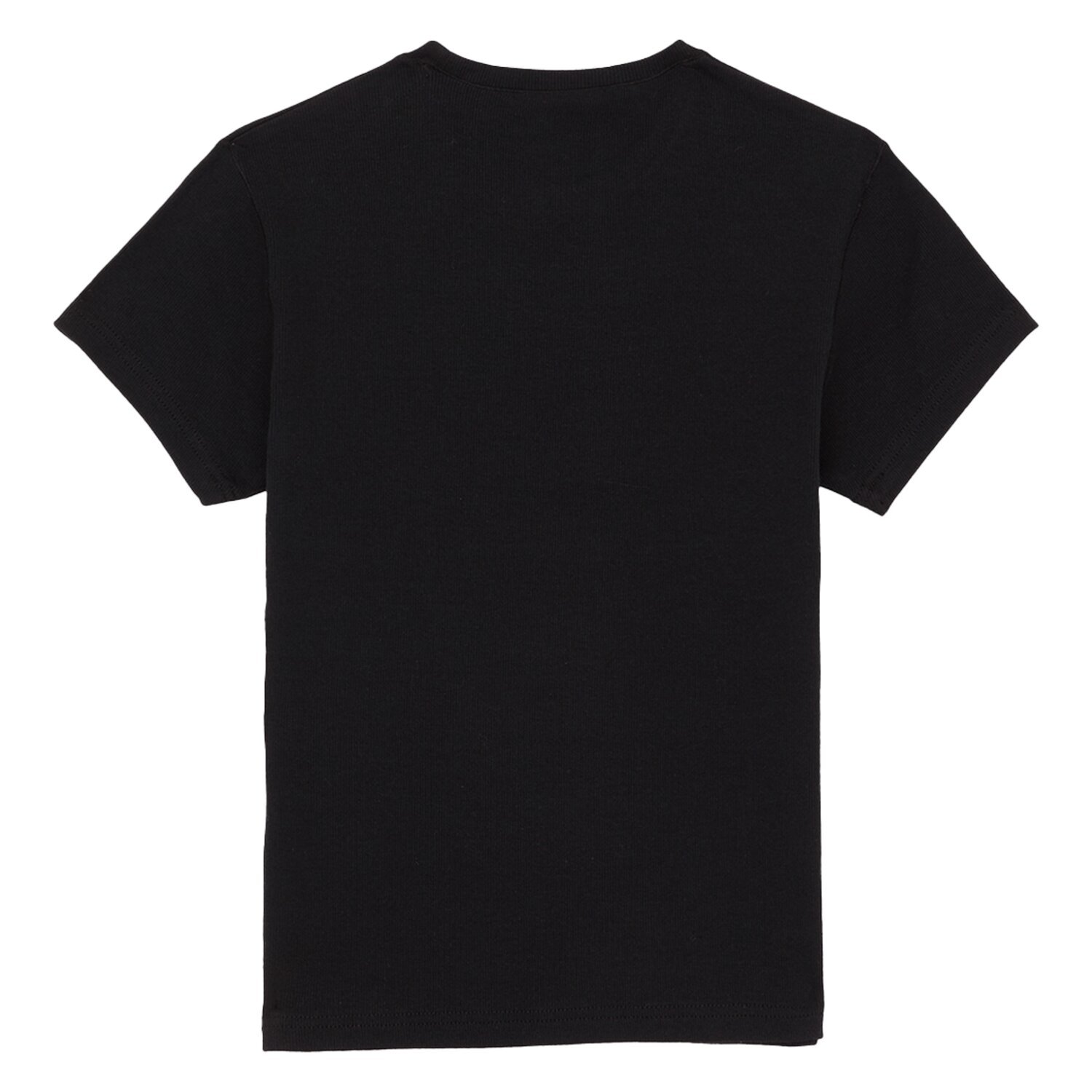 Dickies Gladeville female t-shirt