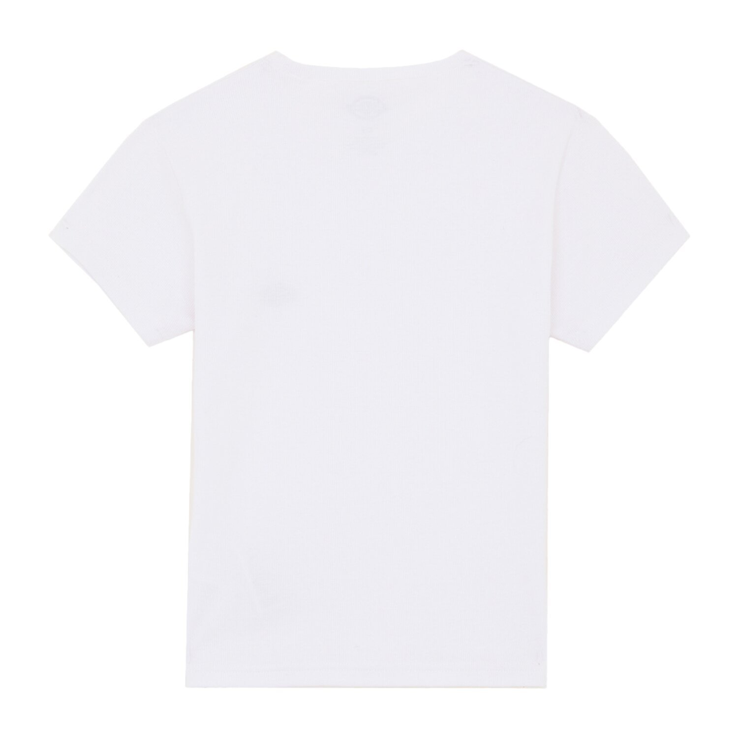 Dickies Gladeville female t-shirt