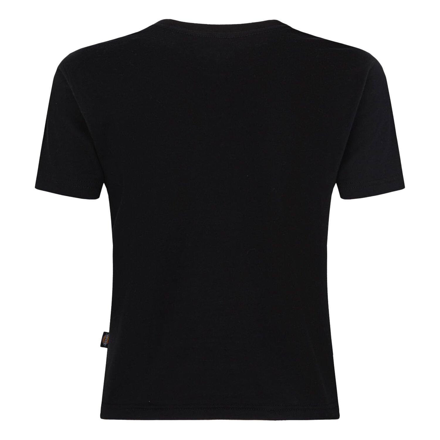 Dickies Maple Valley female t-shirt