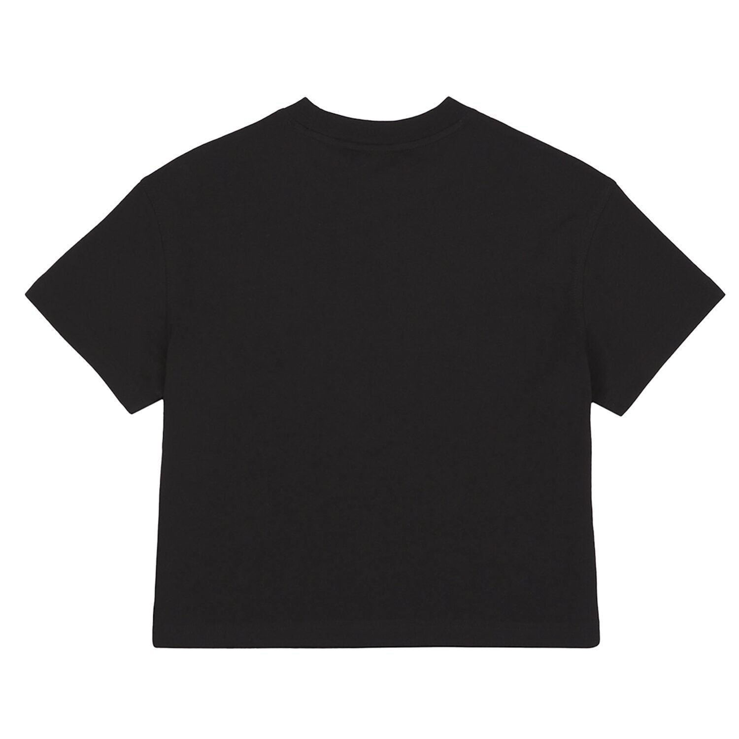 Dickies Oakport female boxy t-shirt