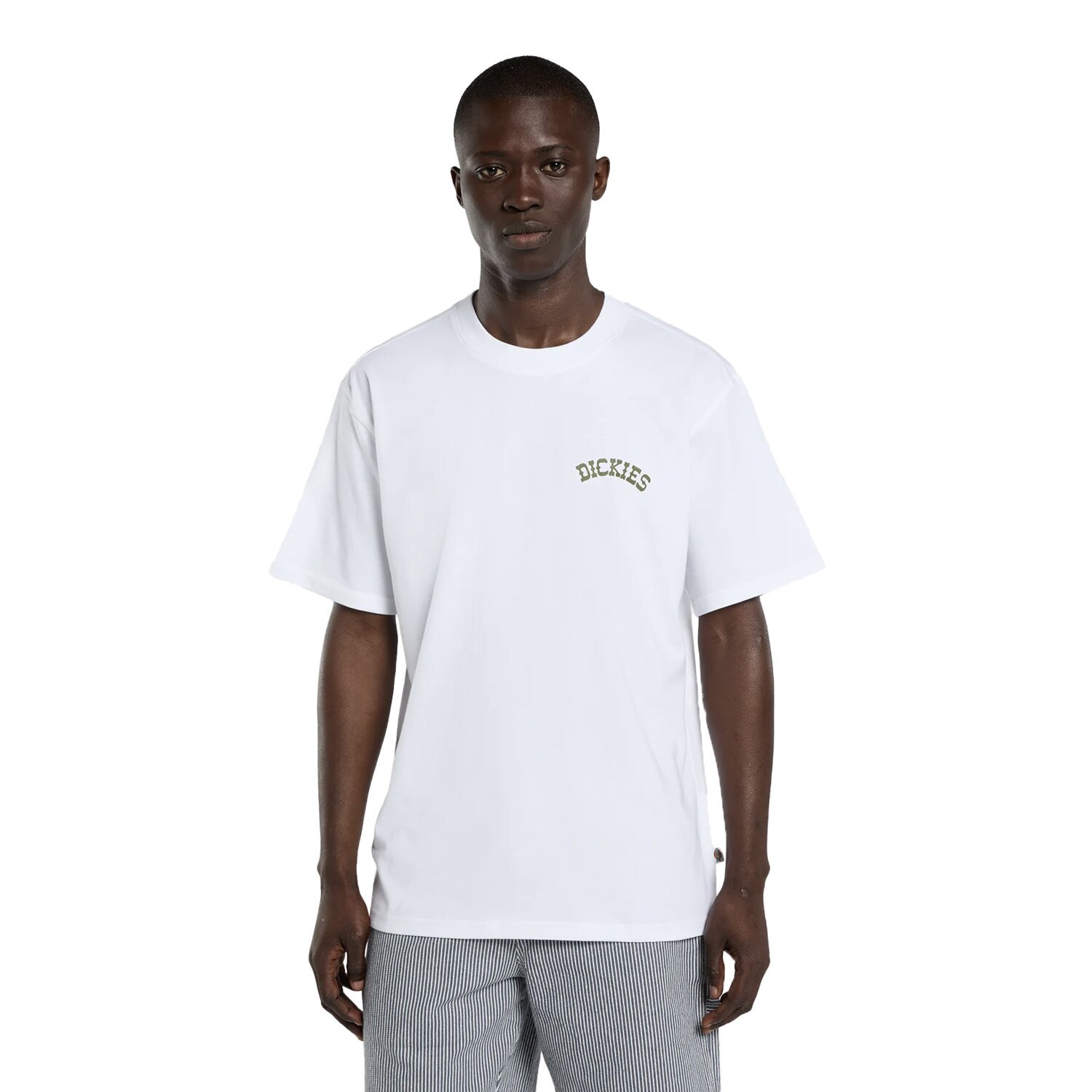 Dickies Bettsville t-shirt, White, S