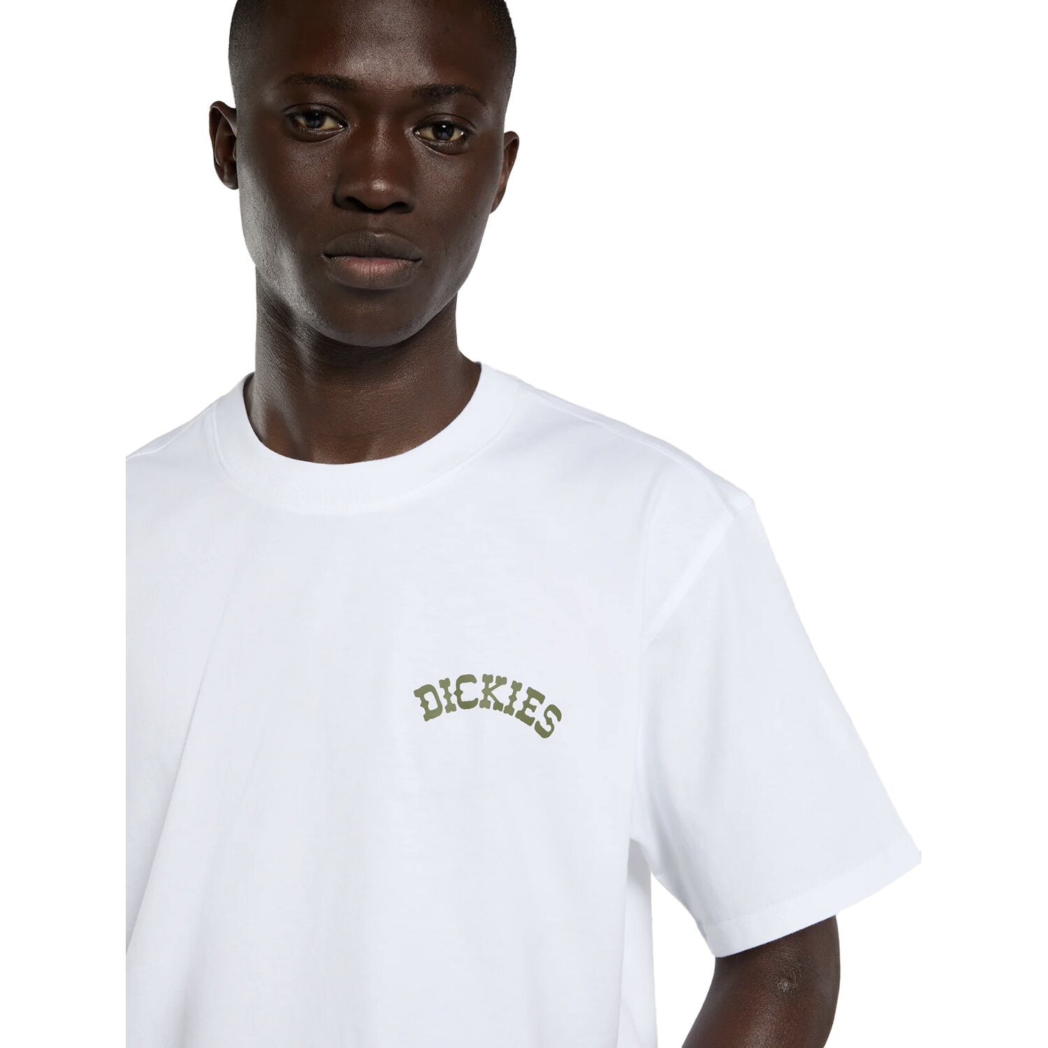Dickies Bettsville t-shirt, White, S