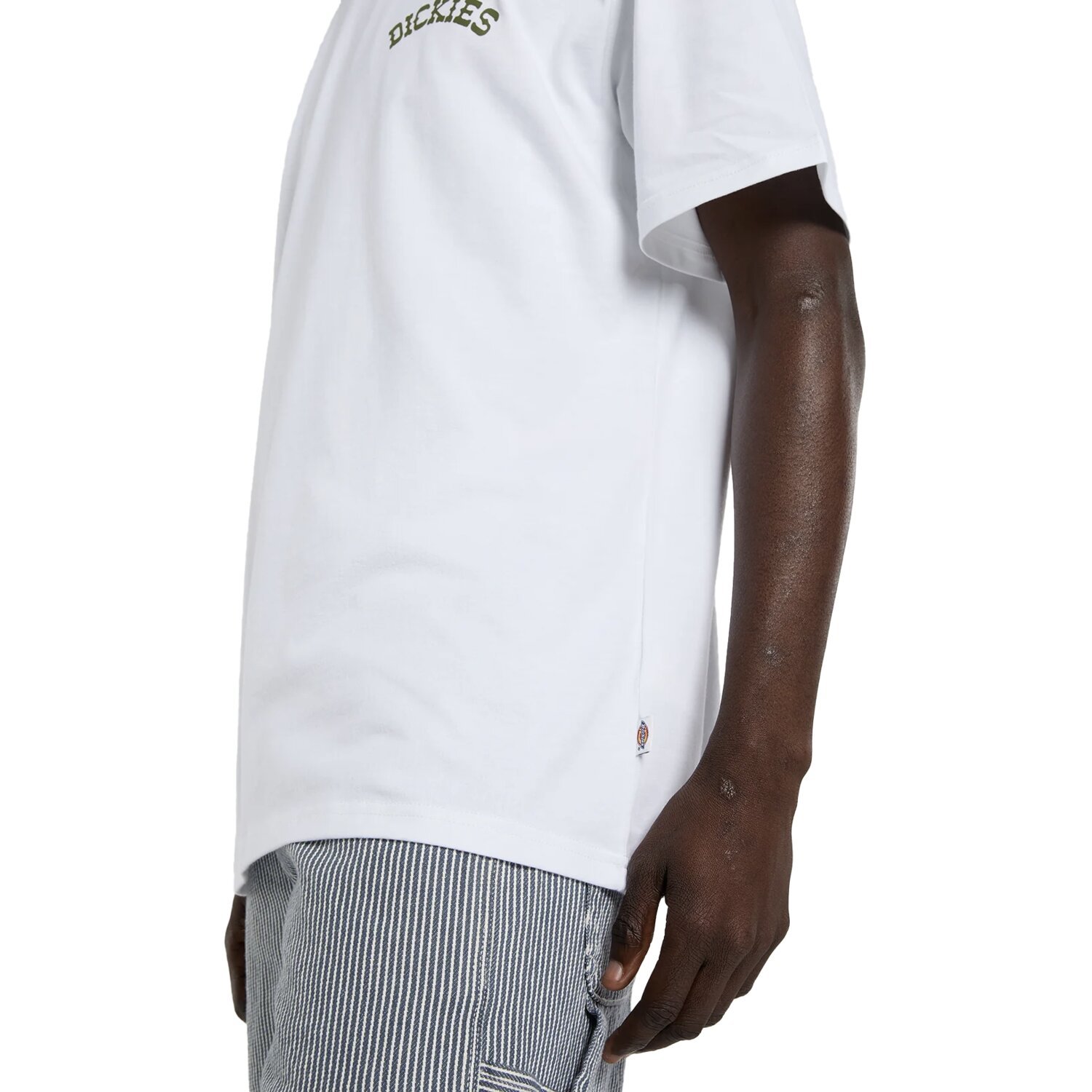 Dickies Bettsville t-shirt, White, M