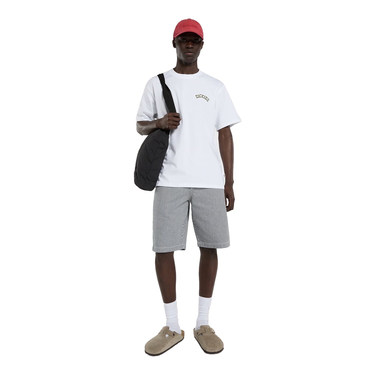 Dickies Bettsville t-shirt, White, M