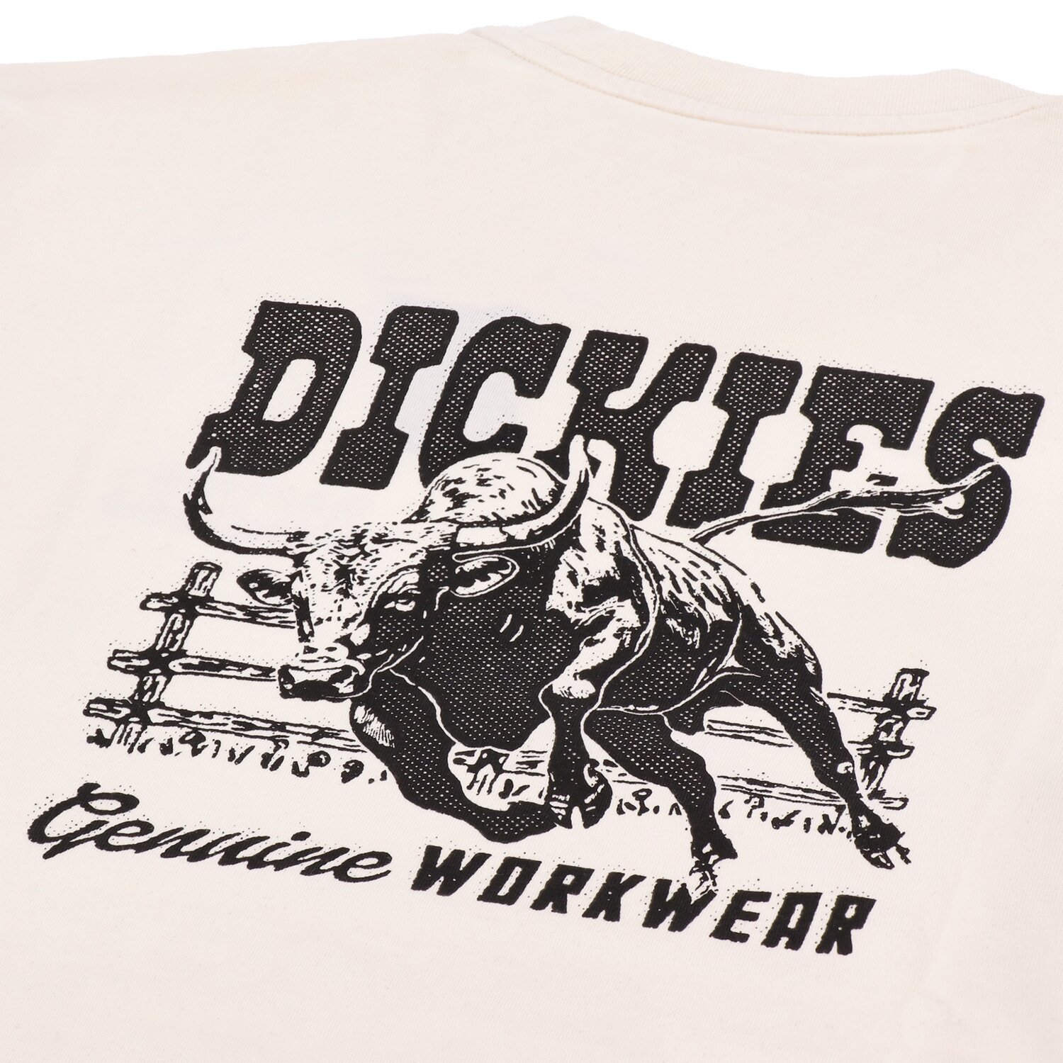 Dickies Buchtell t-shirt