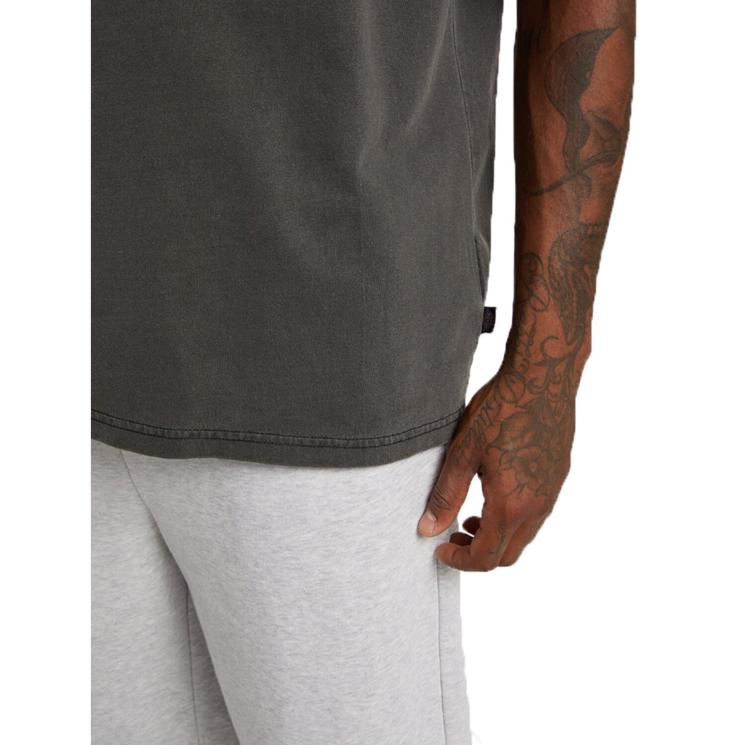 Dickies Buchtell t-shirt