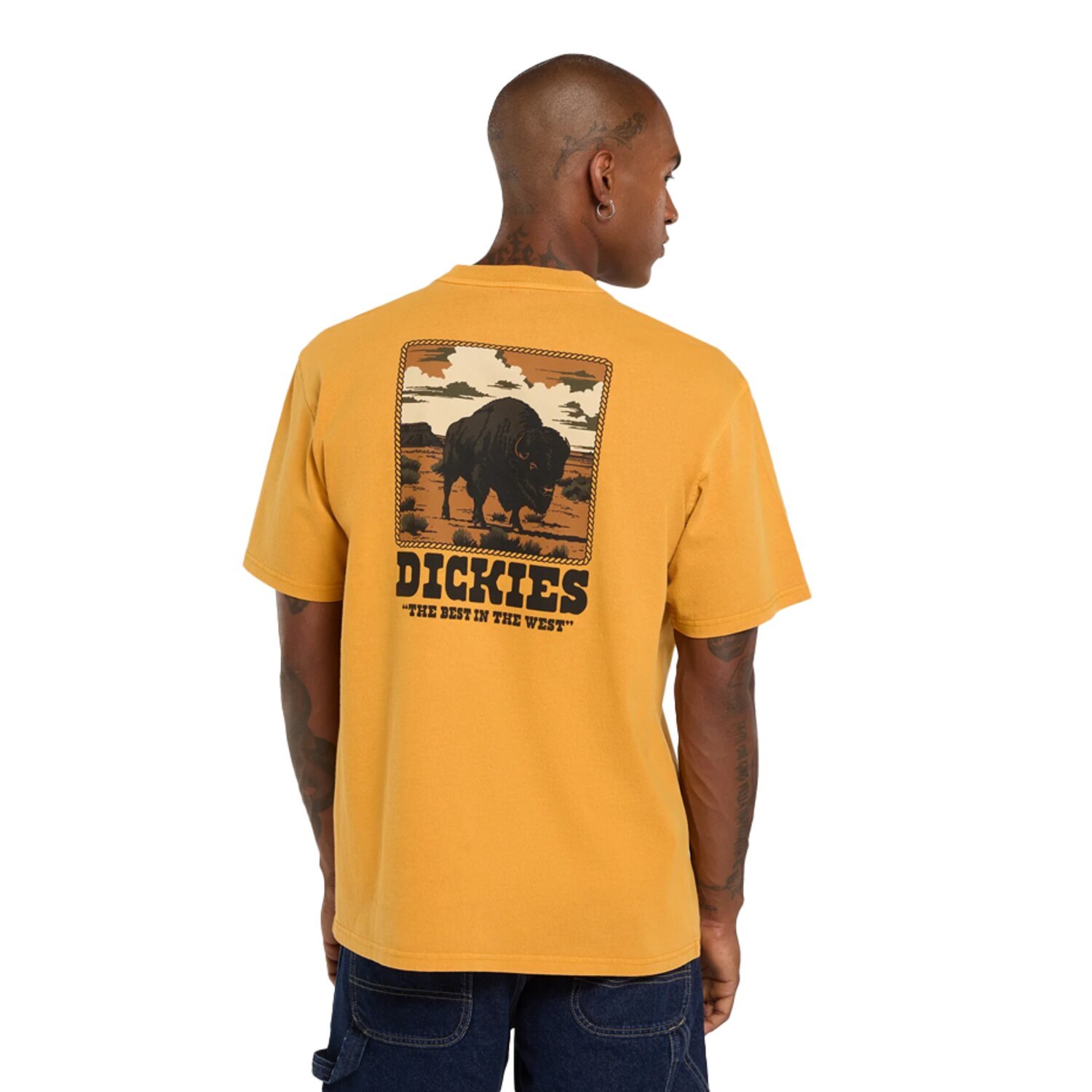 Dickies Darrtown t-shirt, sunflower Yellow, S