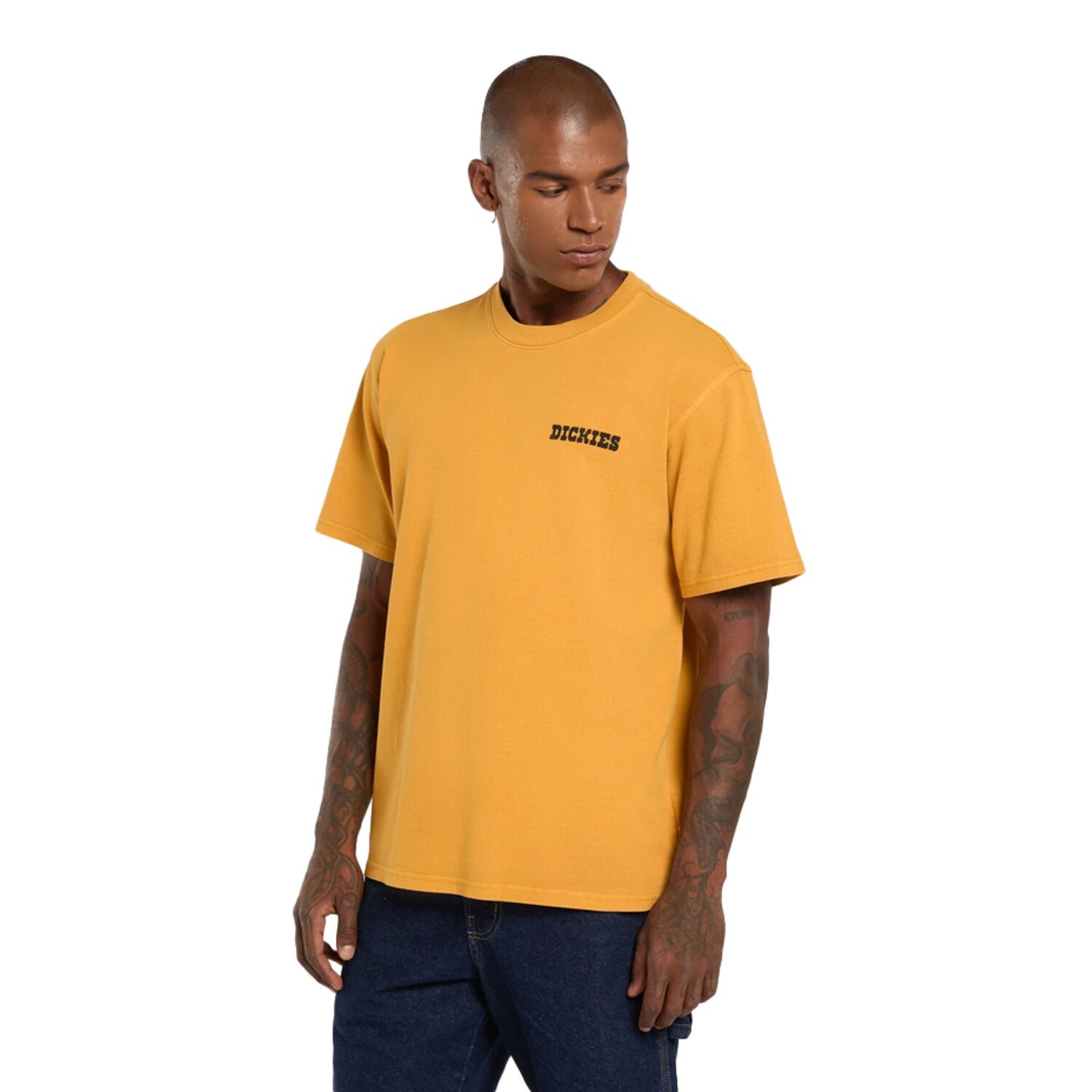 Dickies Darrtown t-shirt