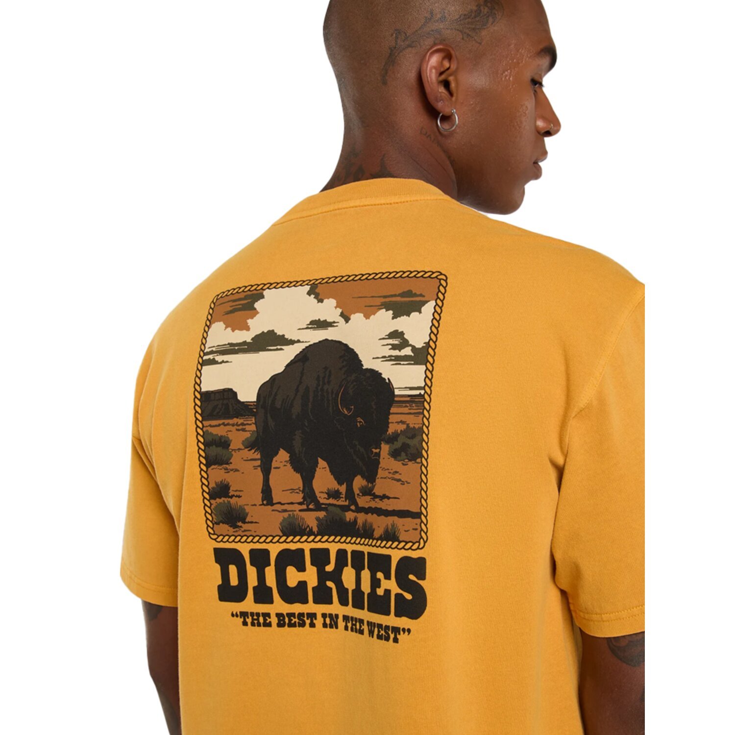 Dickies Darrtown t-shirt, sunflower Yellow, M
