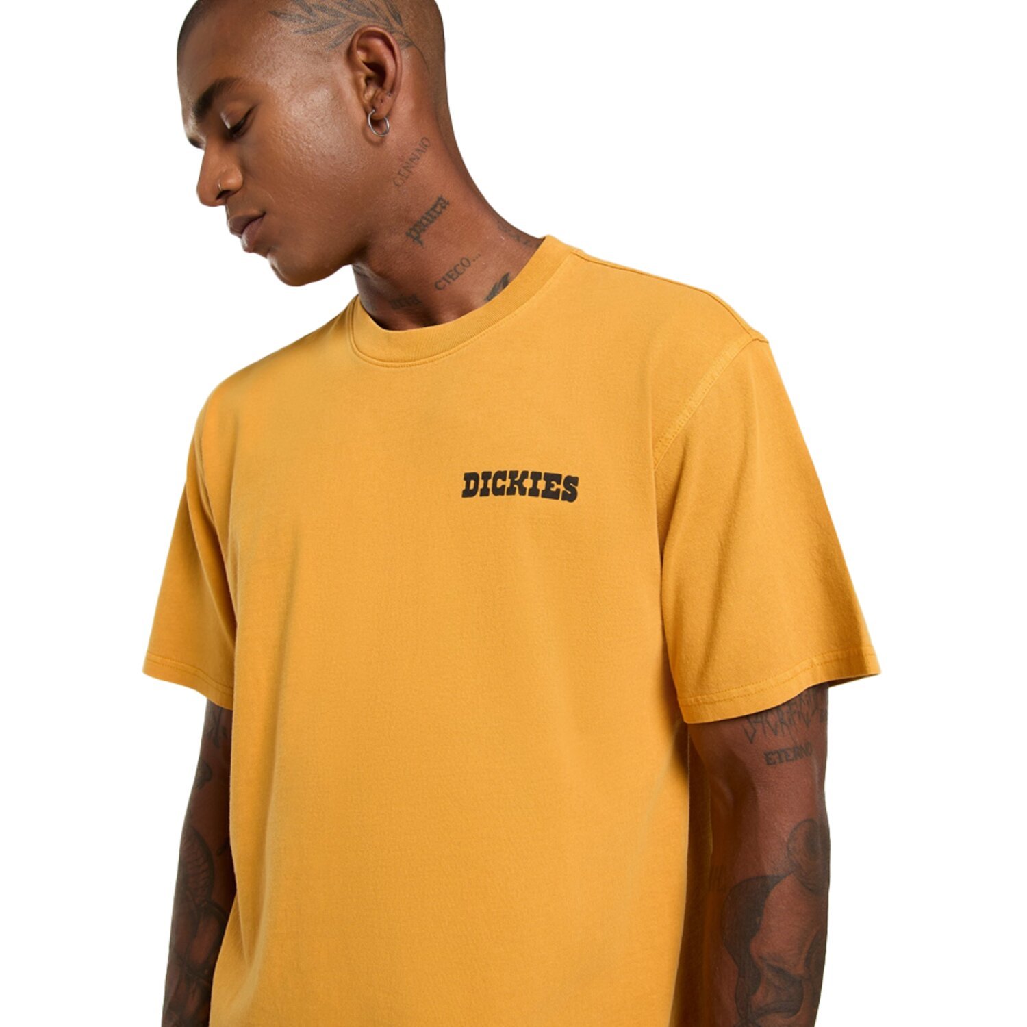 Dickies Darrtown t-shirt, sunflower Yellow, S