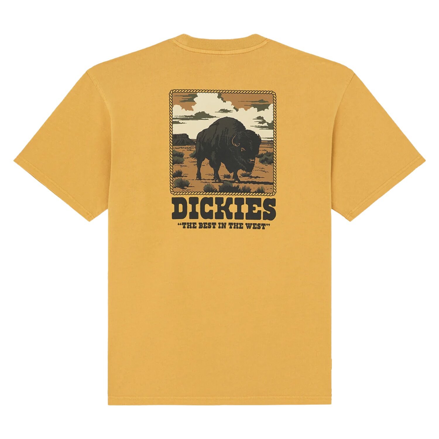 Dickies Darrtown t-shirt, sunflower Yellow, M