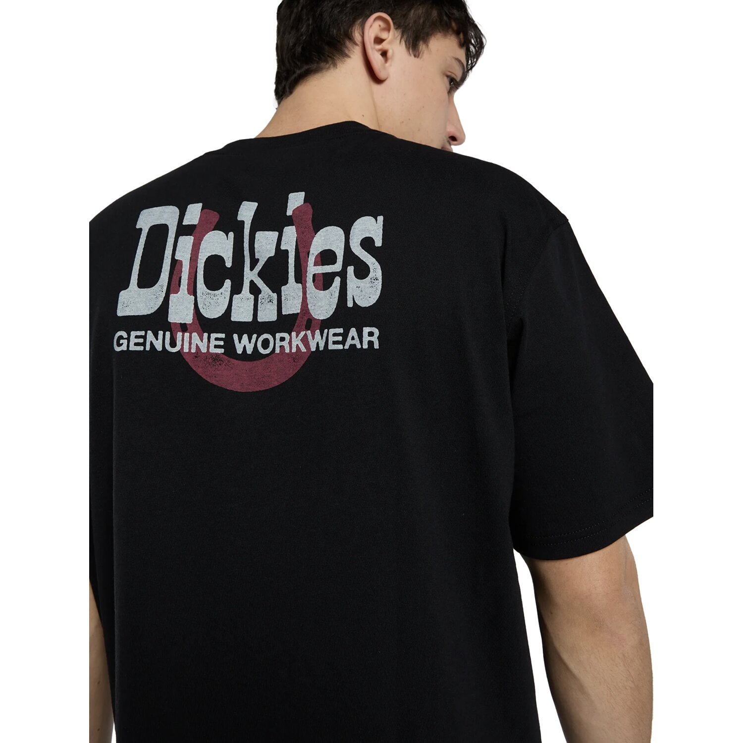 Dickies Vernal t-shirt