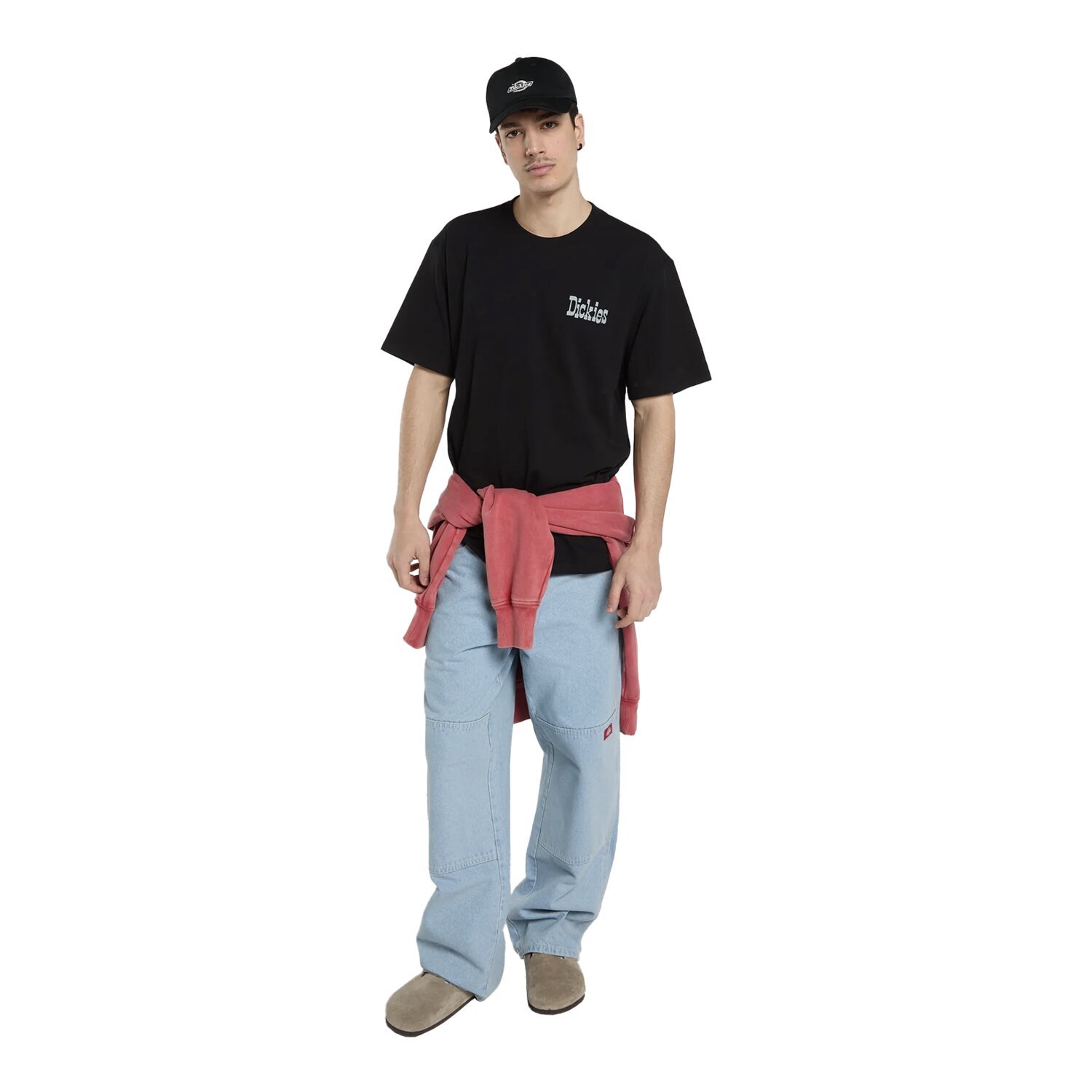 Dickies Vernal t-shirt