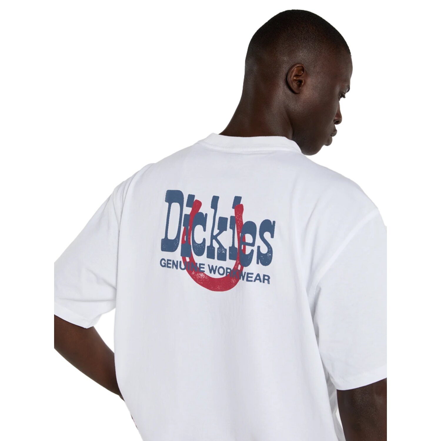 Dickies Vernal t-shirt