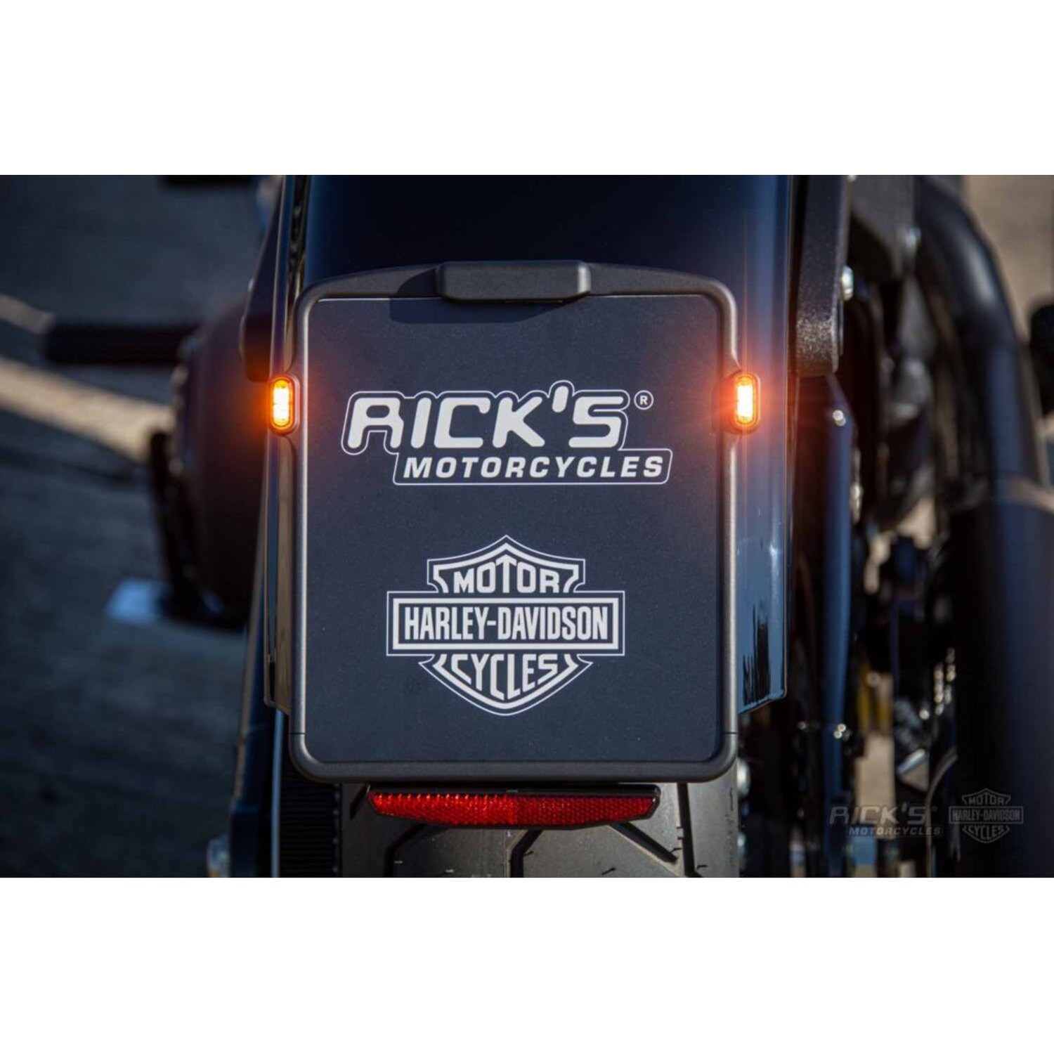 Rick's Motorcycles, Slide In License Plate 18x20cm blk