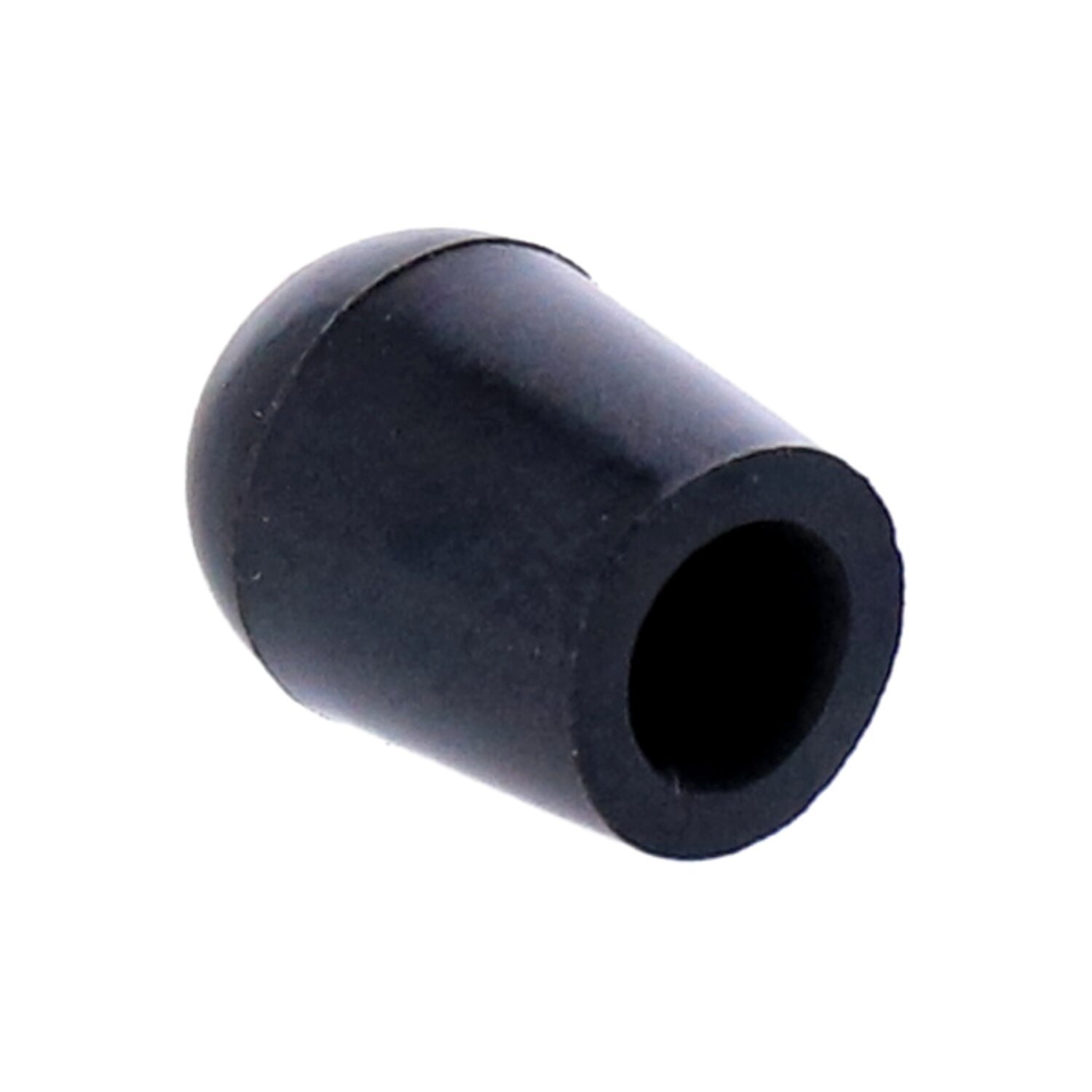 Cap plug, induction module / throttle body