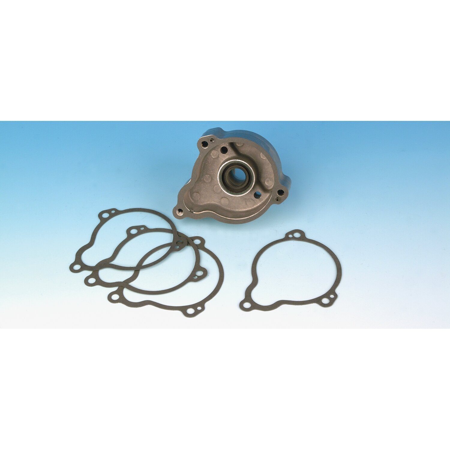 James, gasket starter cover. .031" paper