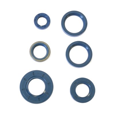 This engine oil seal kit includes all the oil seals in the engine and meets OEM specifications.
