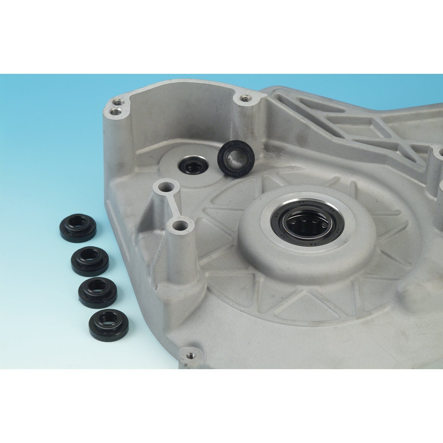 James, oil seal starter shaft. Double lip