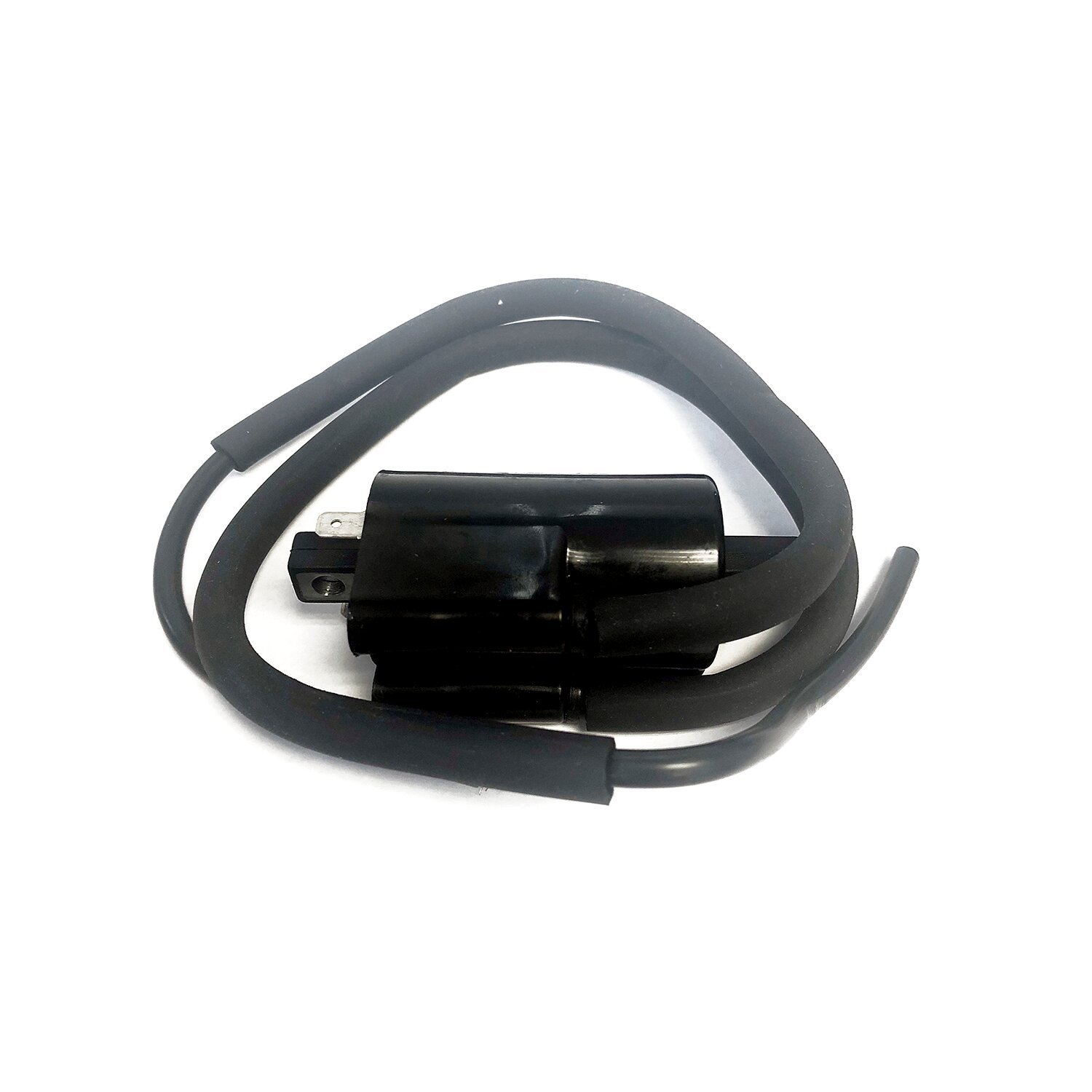 Rick's ignition coil