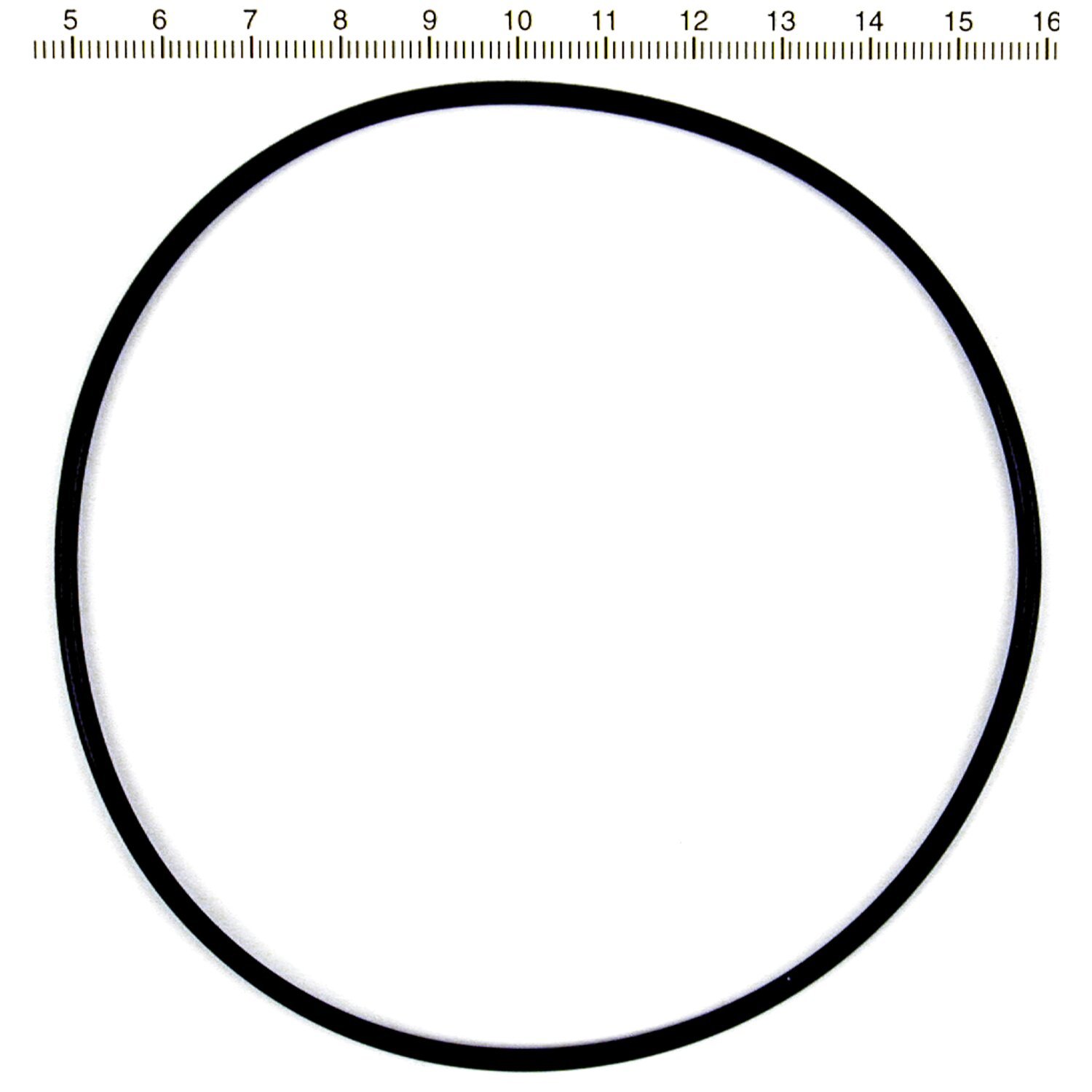 S&S, cylinder base o-ring. FR/RR