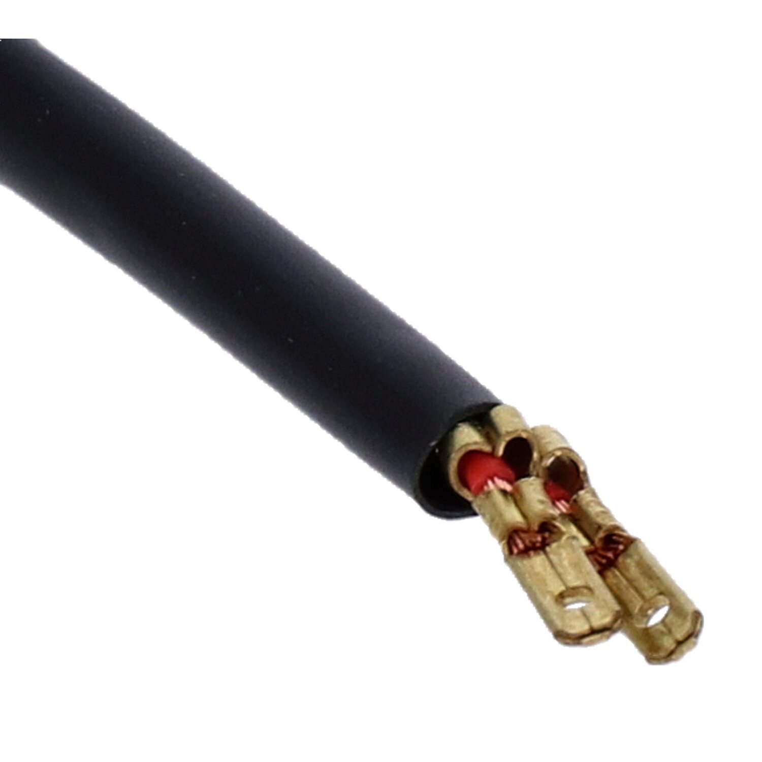 Goodridge, hydraulic brake light switch. SS