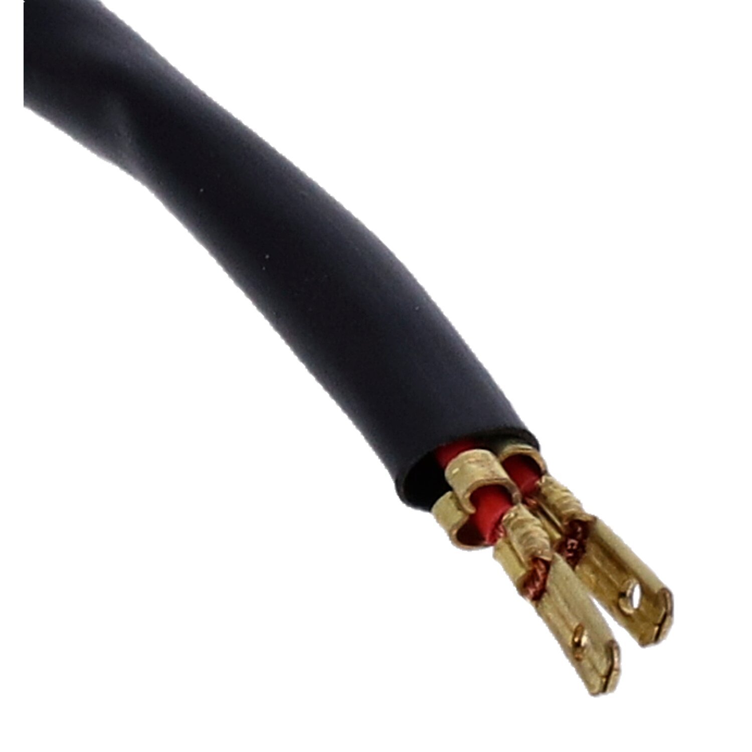 Goodridge, M10 x 1.25 banjo brake switch. SS