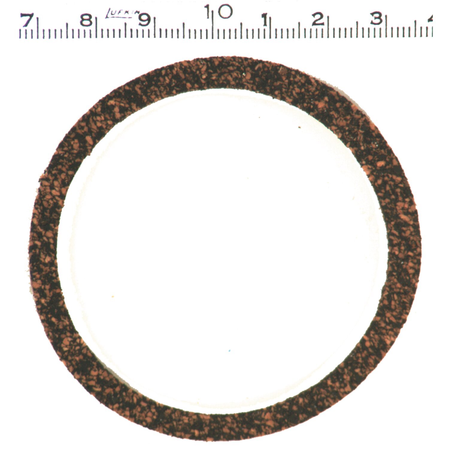 Gaskets & Seals