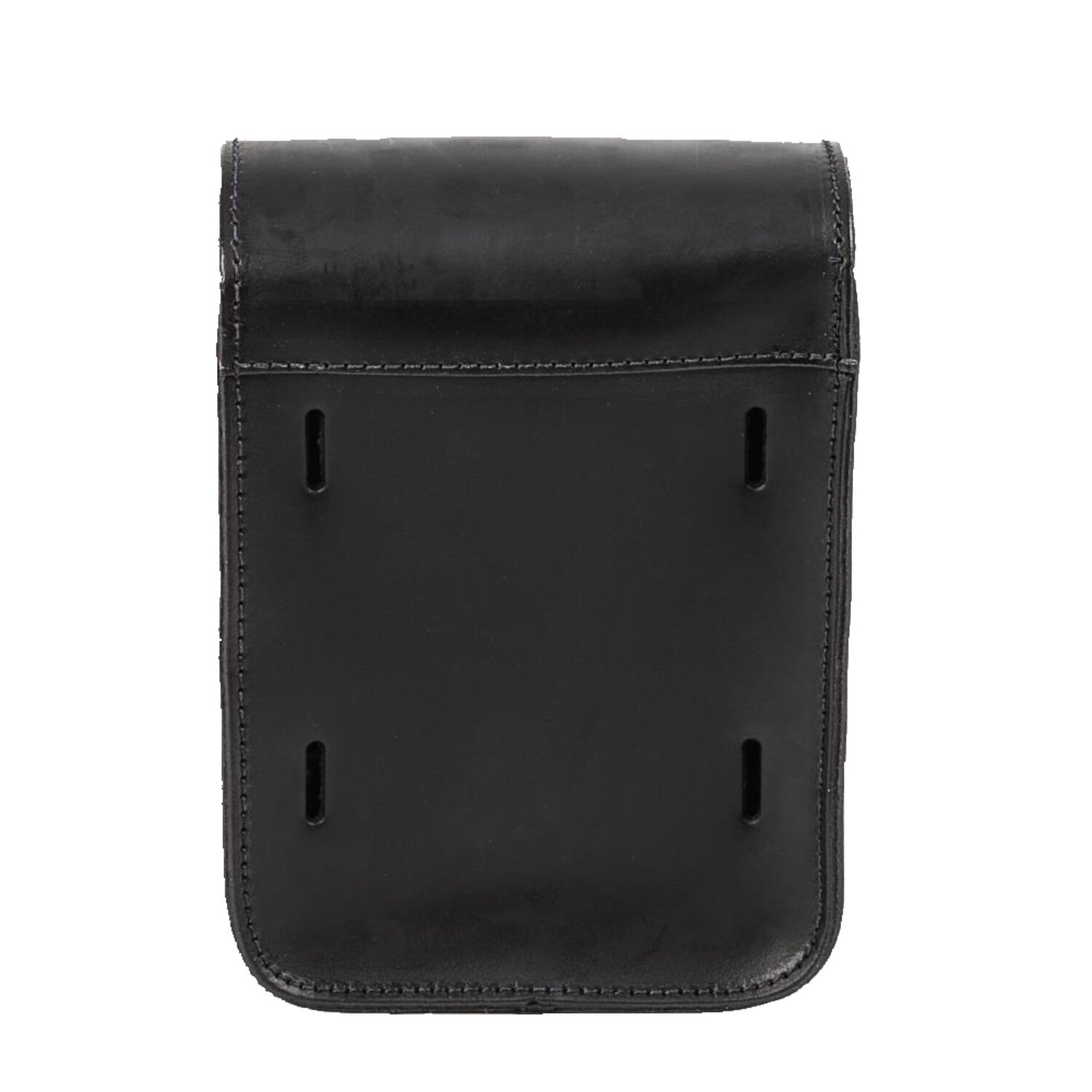 MCS, full leather sissy bar bag