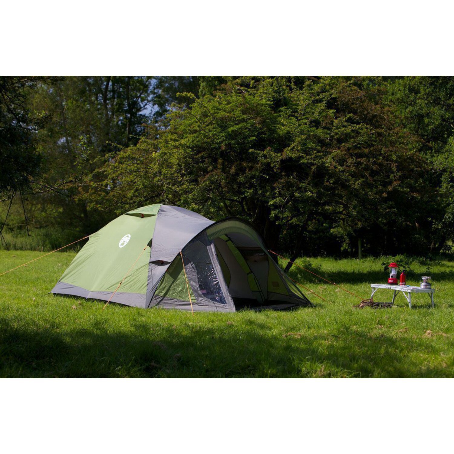 Coleman Darwin 2+ tent, dark grey, army Green, Green