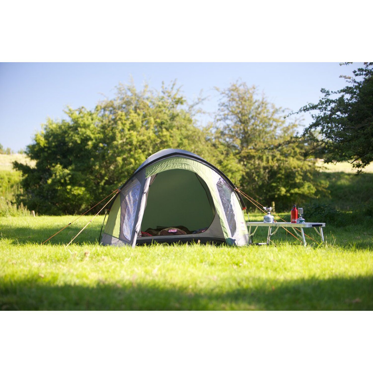 Coleman Darwin 2+ tent, dark grey, army Green, Green