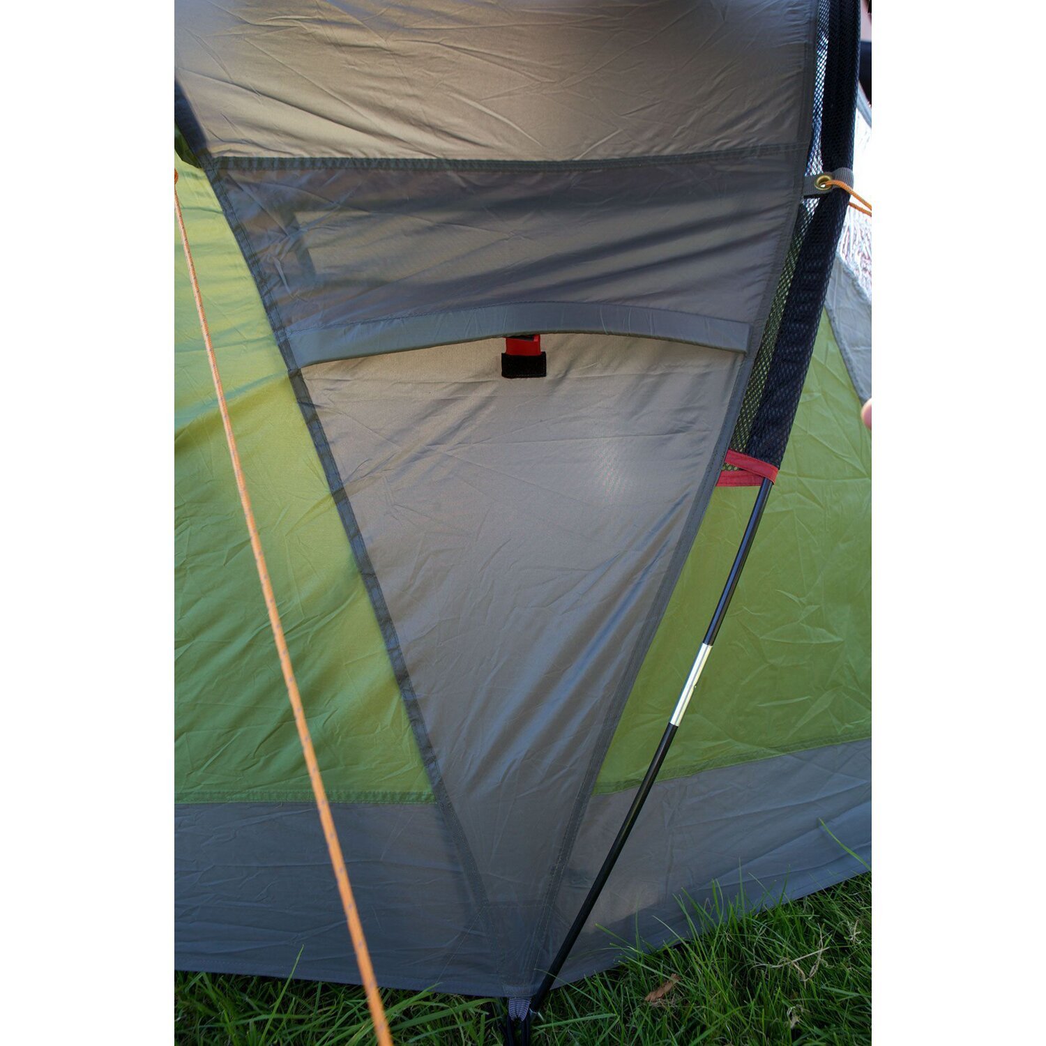 Coleman Darwin 2+ tent, dark grey, army Green, Green