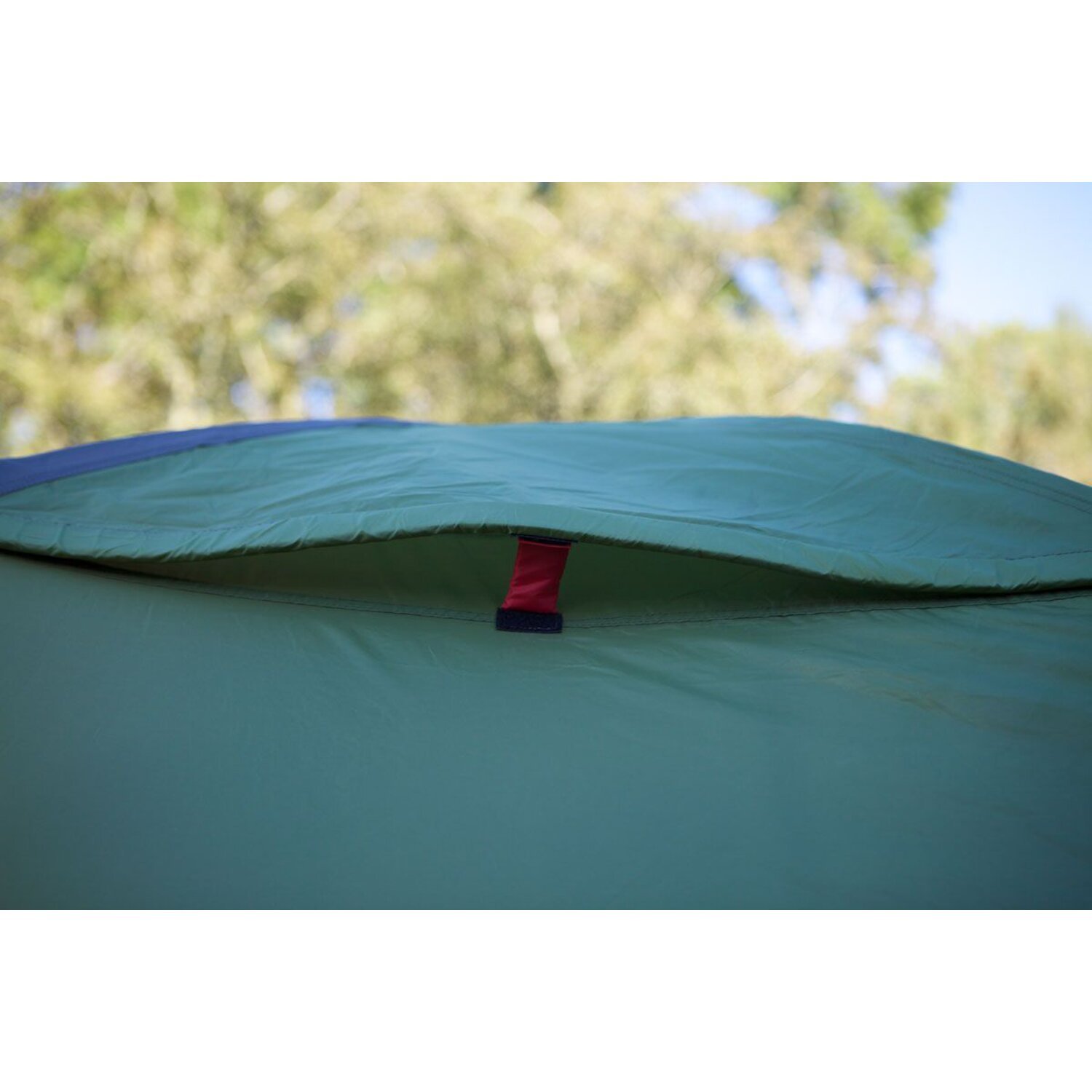 Coleman Darwin 2+ tent, dark grey, army Green, Green