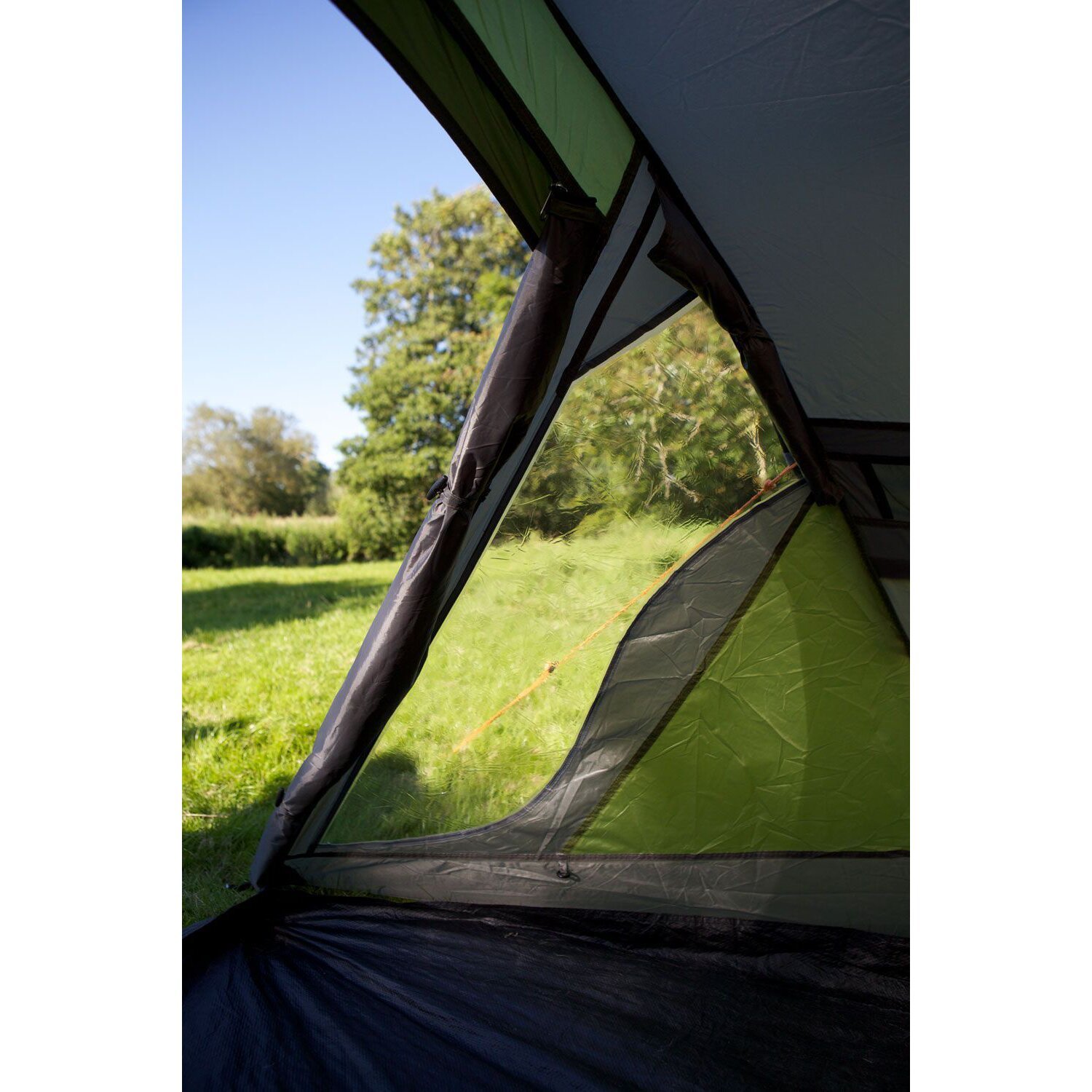 Coleman Darwin 2+ tent, dark grey, army Green, Green