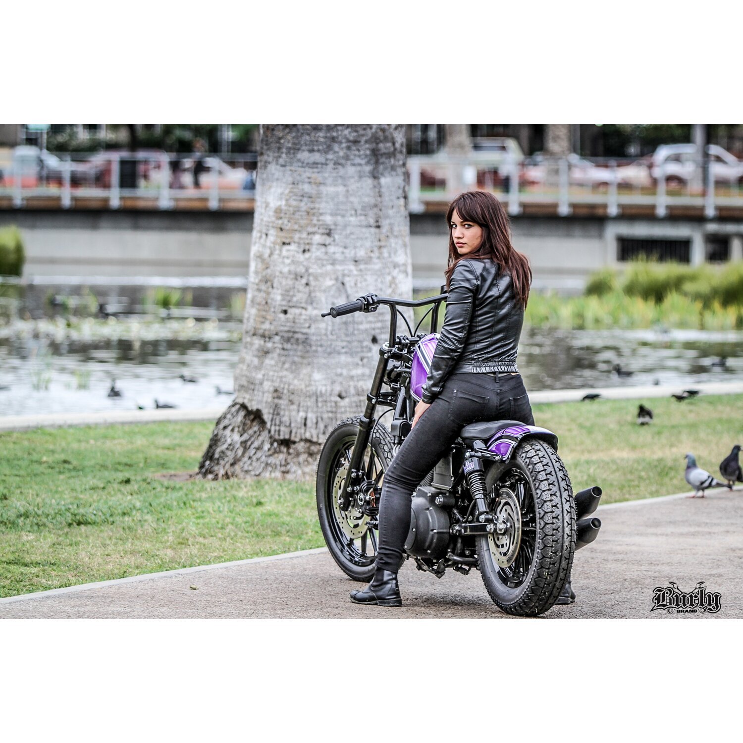 Burly, The Sid 1" handlebar 8" high, Black, Powder Coated