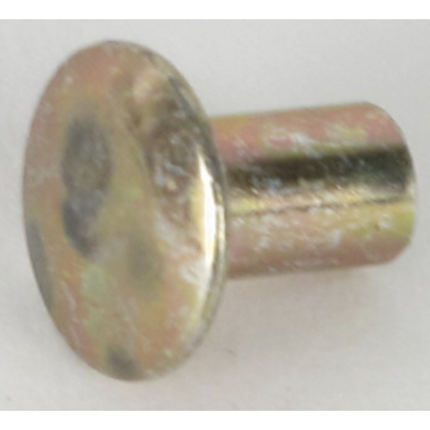 Cycle Electric, rivet