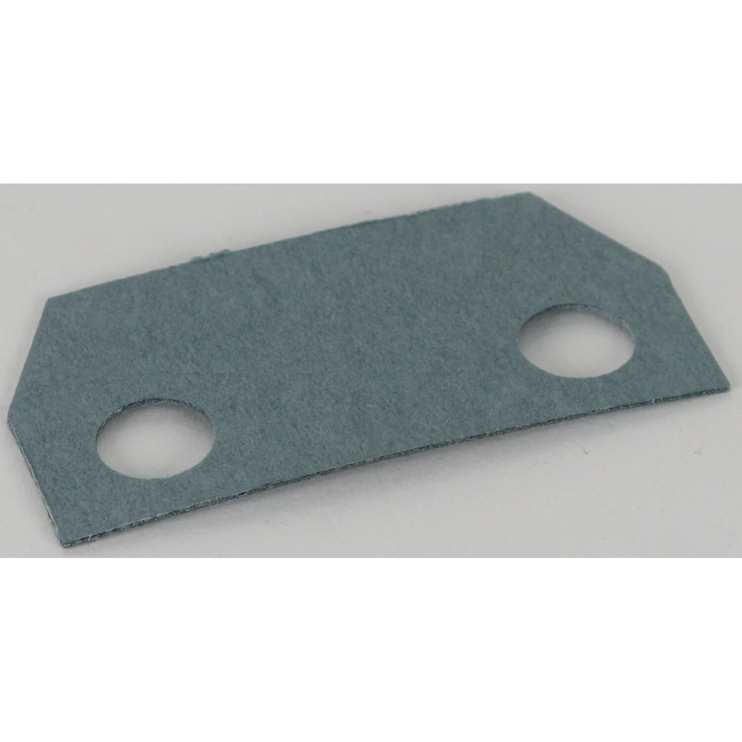 Cycle Electric, insulator gasket