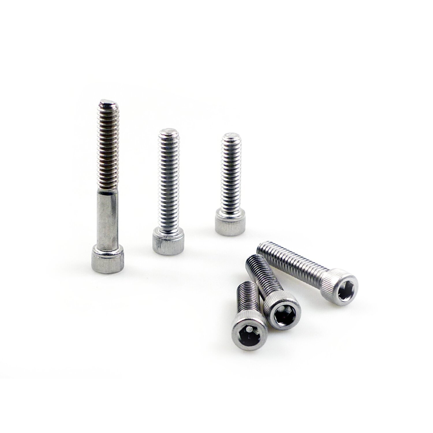 Big Twin cam cover mount kit, ss allen