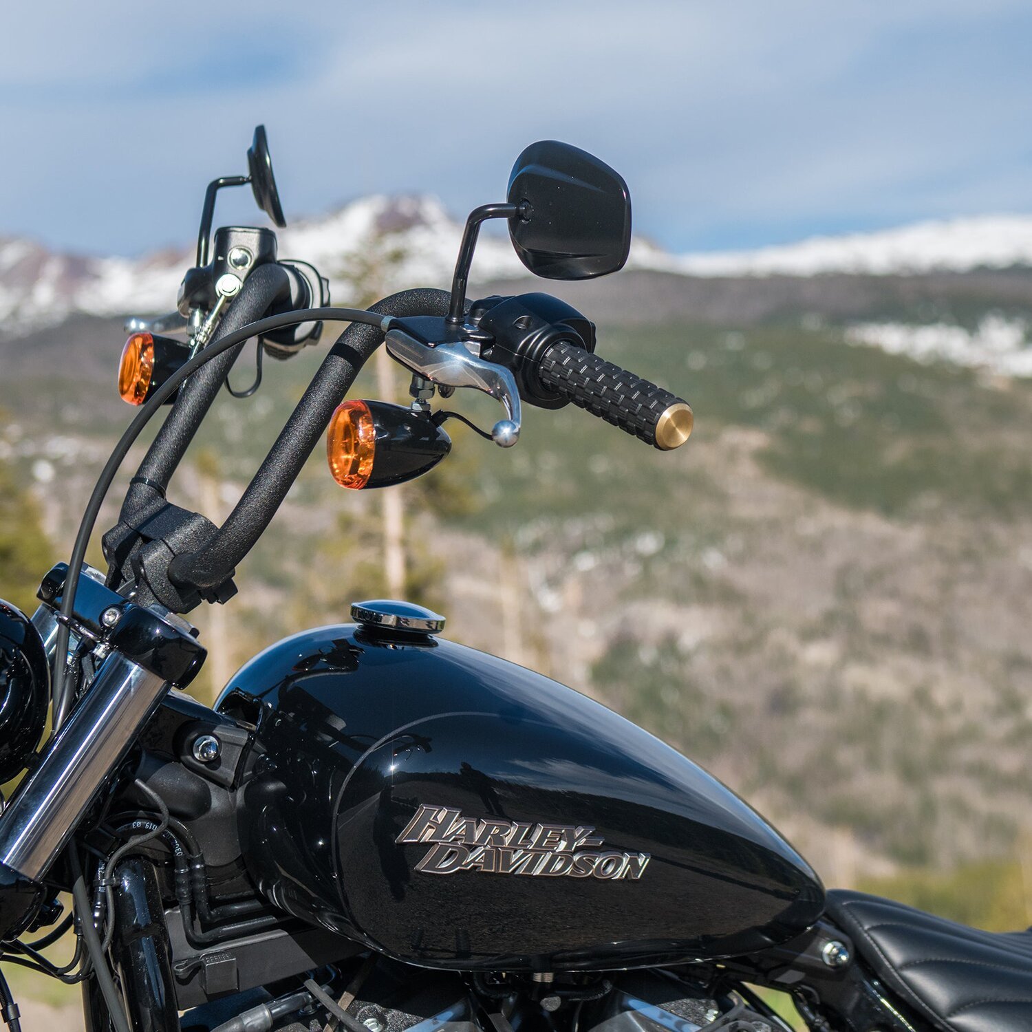 Arlen Ness, Air Trax grips. Brass end cap, Black
