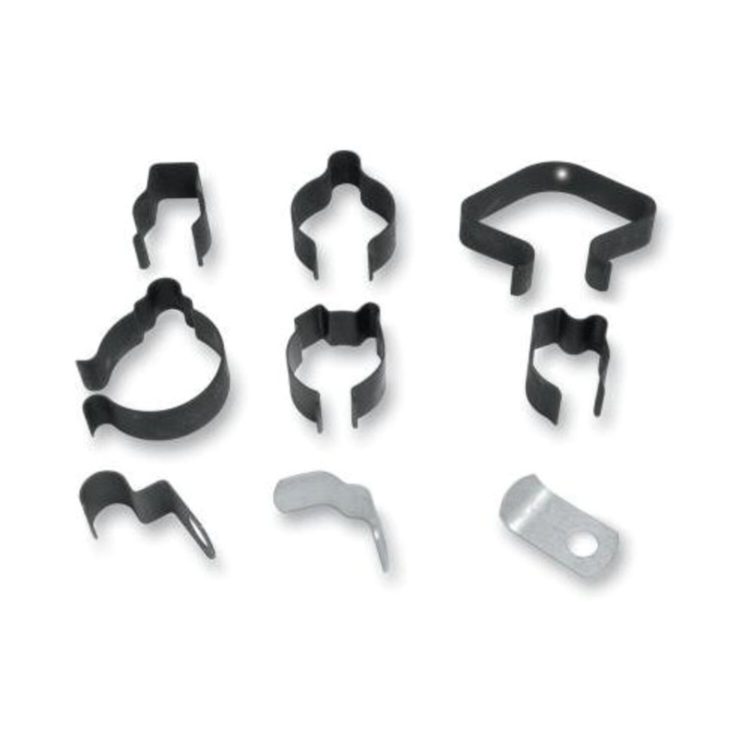 Colony, wire clip rear frame