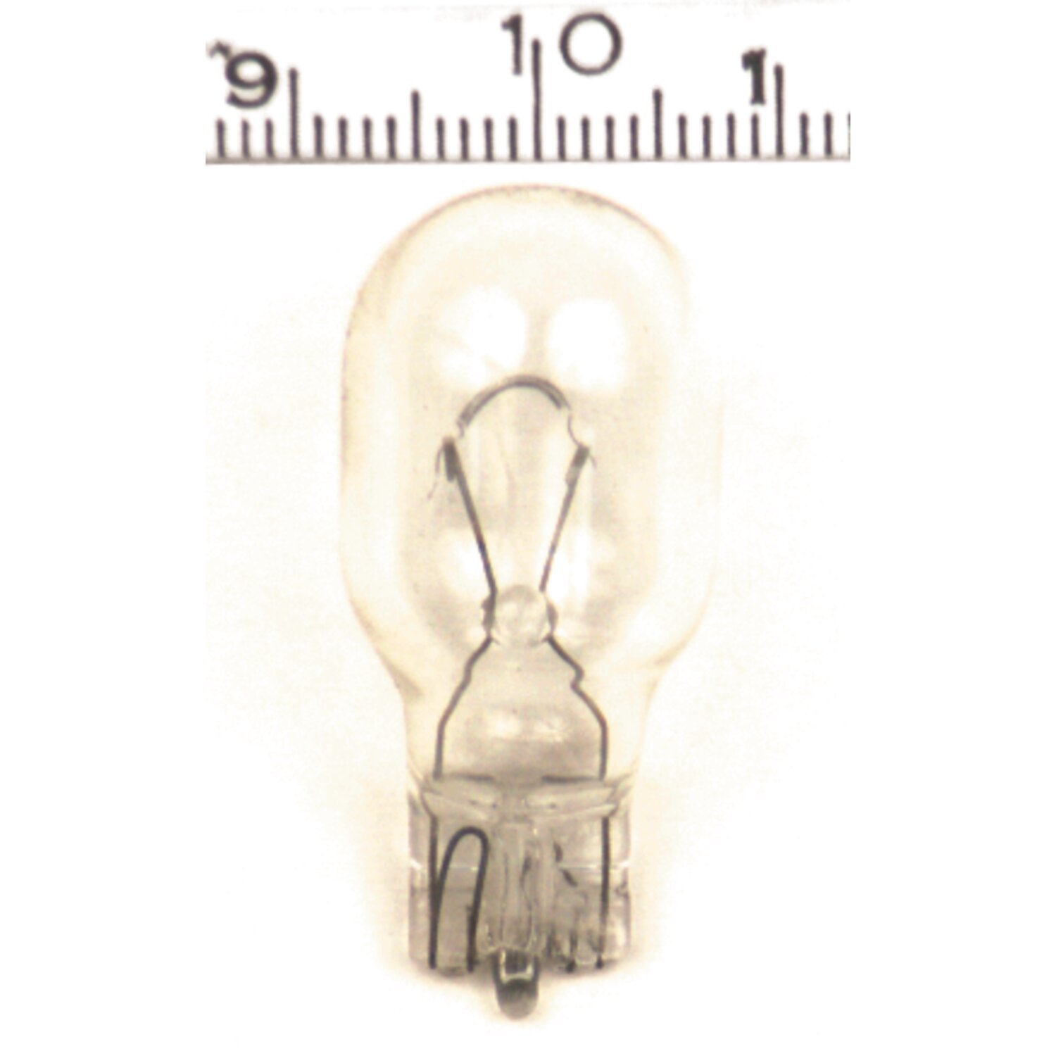 Single filament replacement light bulb, 12 volt / 21 watt