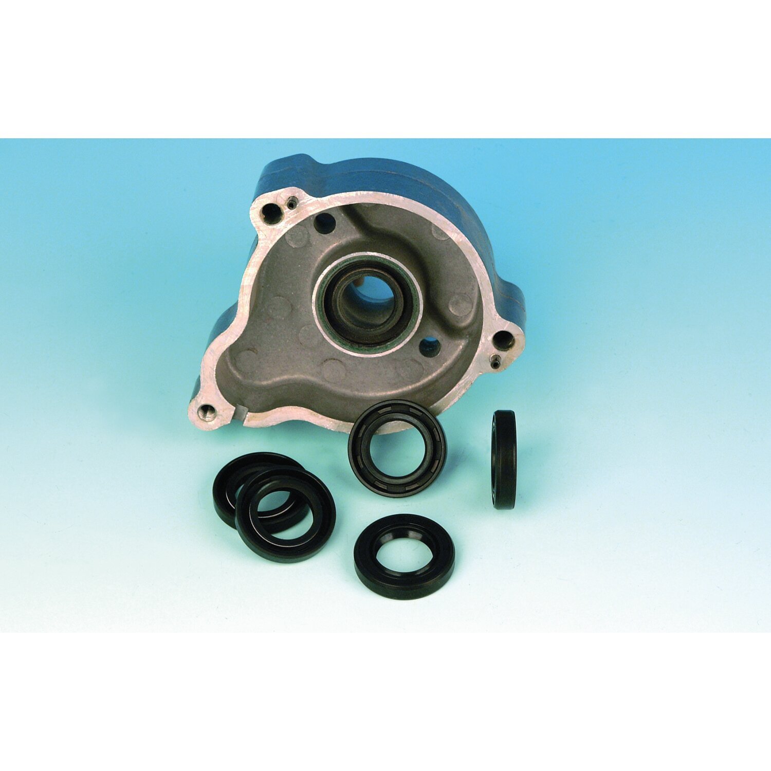 James, oil seal starter shaft housing