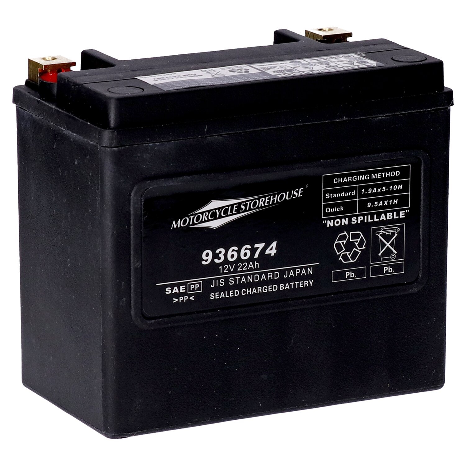 MCS, standard series - AGM sealed battery. 12v, 22ah. 325cca
