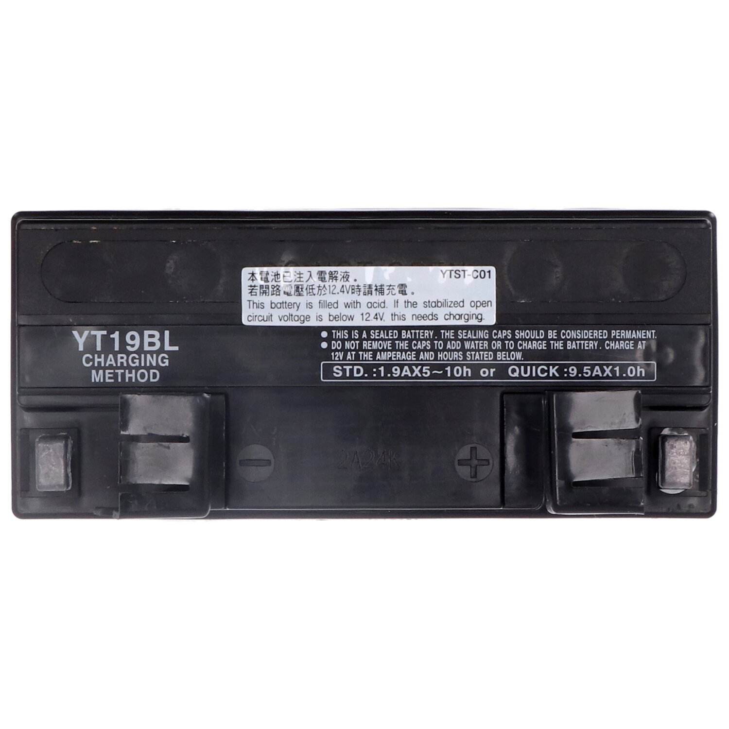 Yuasa, AGM battery, YT19BL-WC